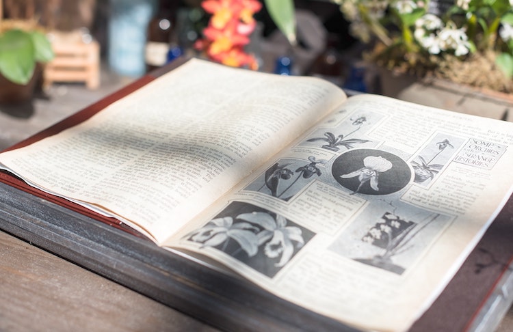 Un livre de botanique