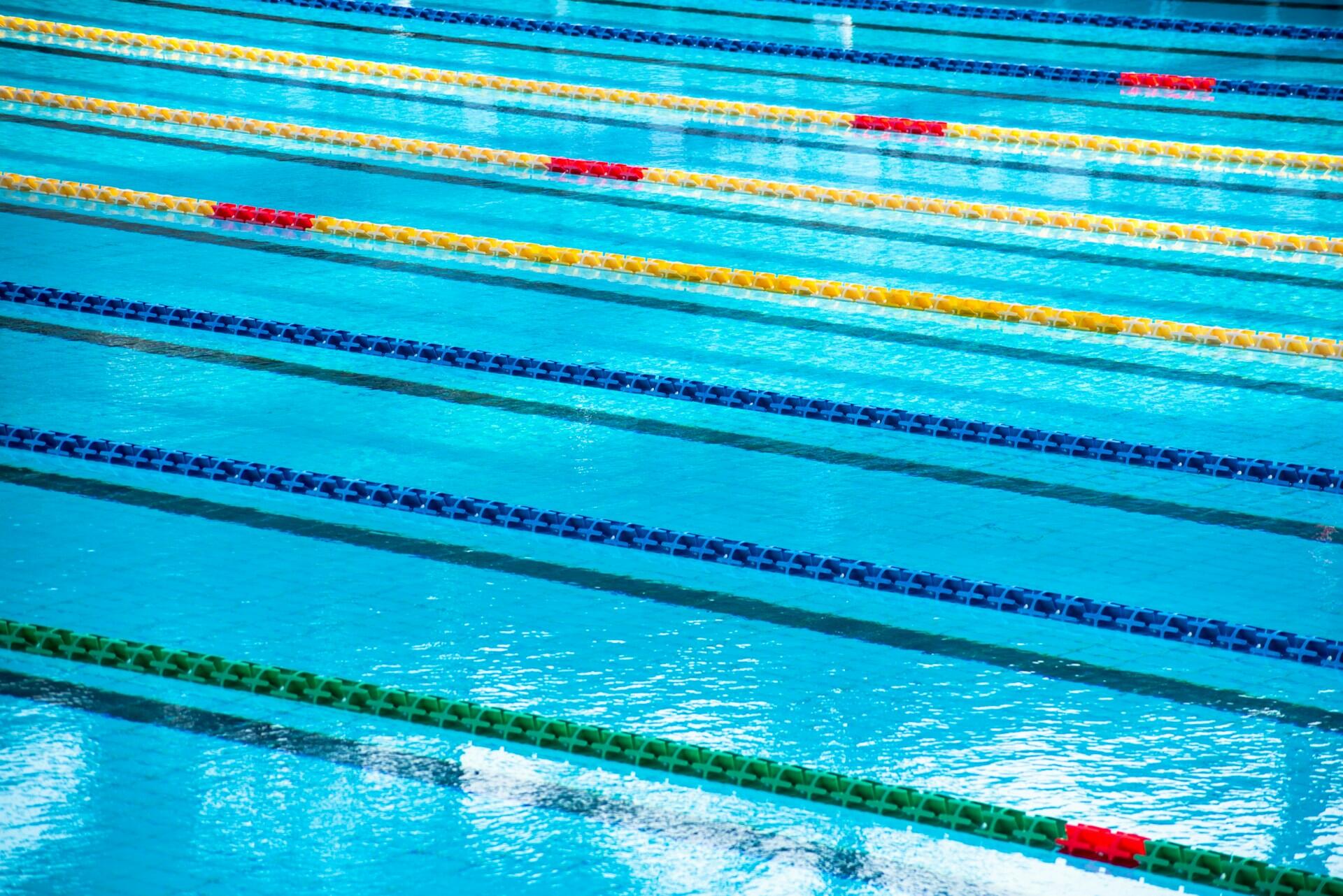 piscine olympique couloirs eau
