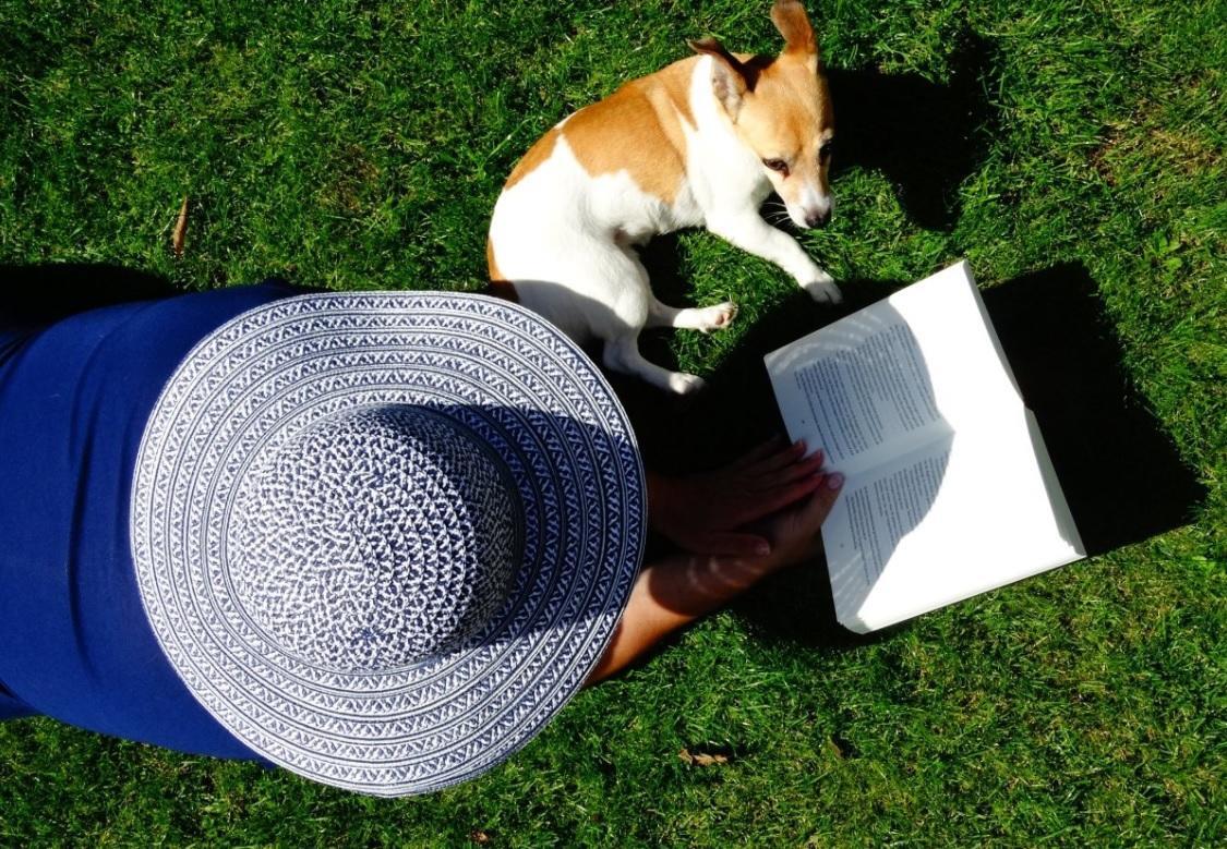 Comment apprendre l'alphabet espagnol ?