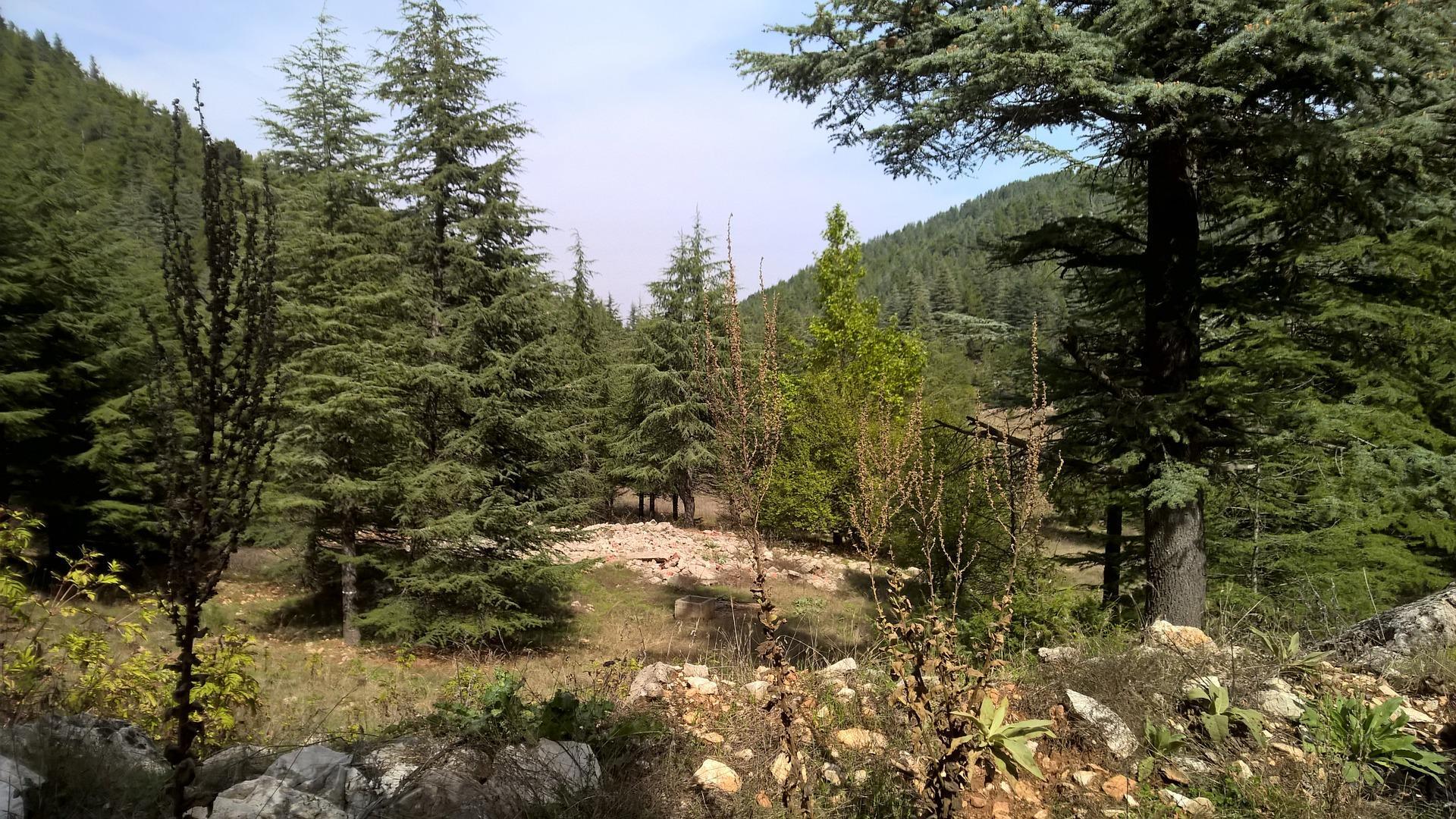 Ne pas se blesser en s'entraînant avant le cours de boxe...