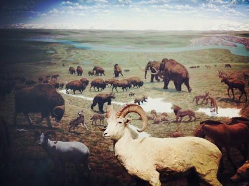 Comment apprendre la langue indo-européenne grâce à un institut de langues ?