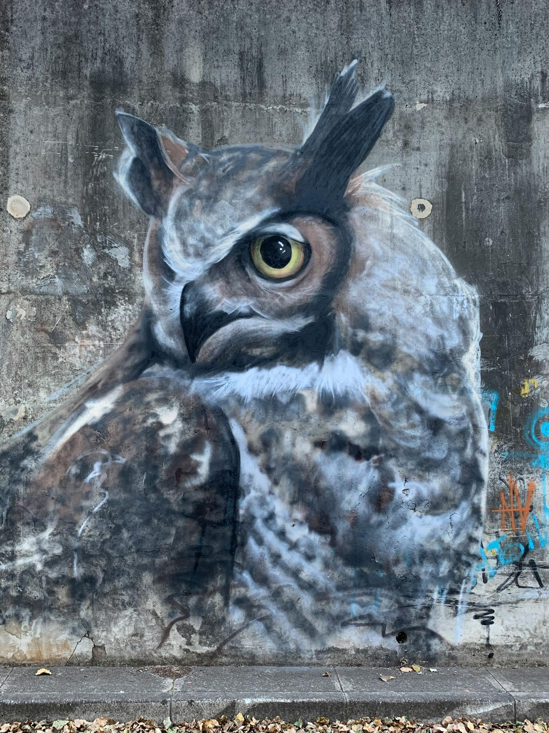 peinture de hibou