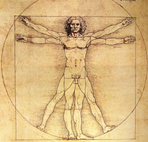 El hombre de Vitruvio y las mates