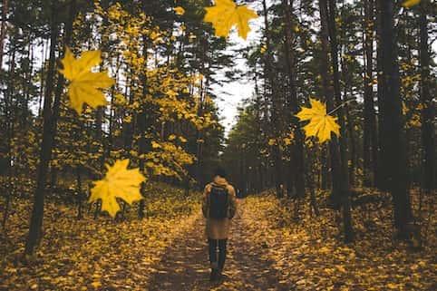 Aprender chino solos no será fácil.