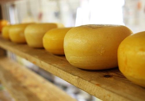 El queso italiano, una historia de pasión.