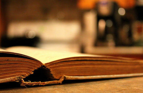 Que se apasionen por la lectura desde niños