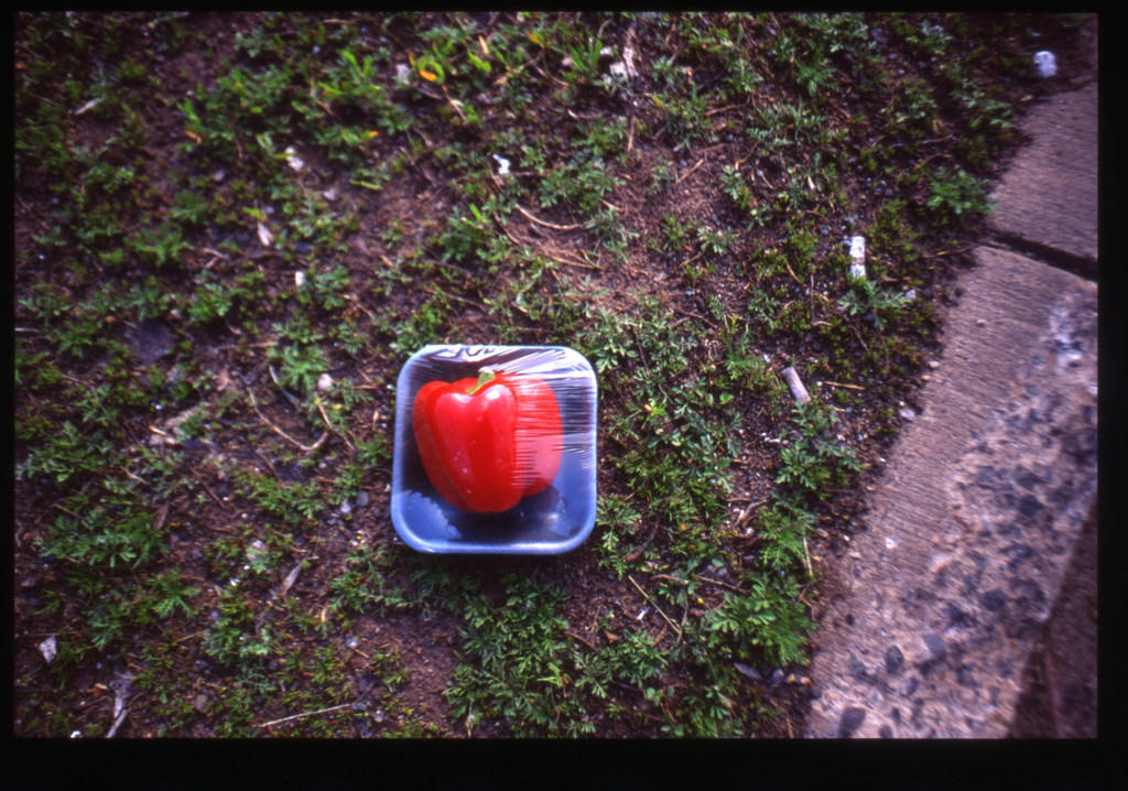 ¡Que no se desperdicie nada!