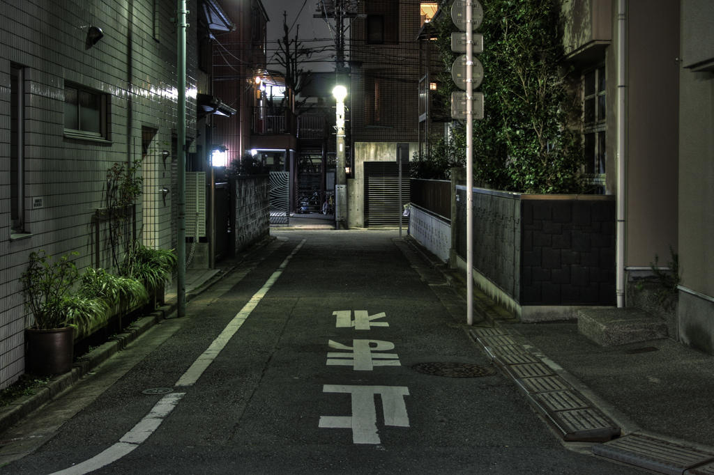 Aprende japonés para ir a vivir al archipiélago nipón.