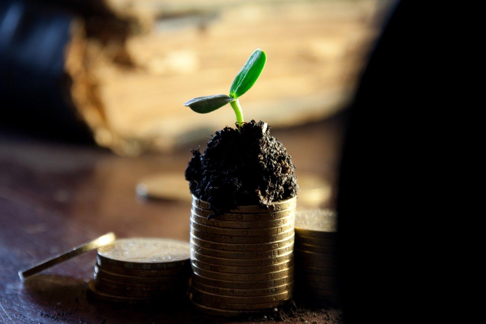 Gana dinero con clases particulares