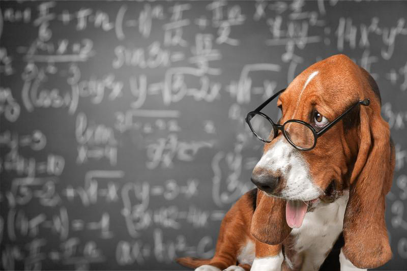 Todos y todas podemos mejorar las evaluaciones.