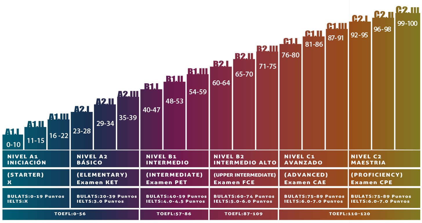 Son seis los estadios en los que se clasifican los niveles de idioma