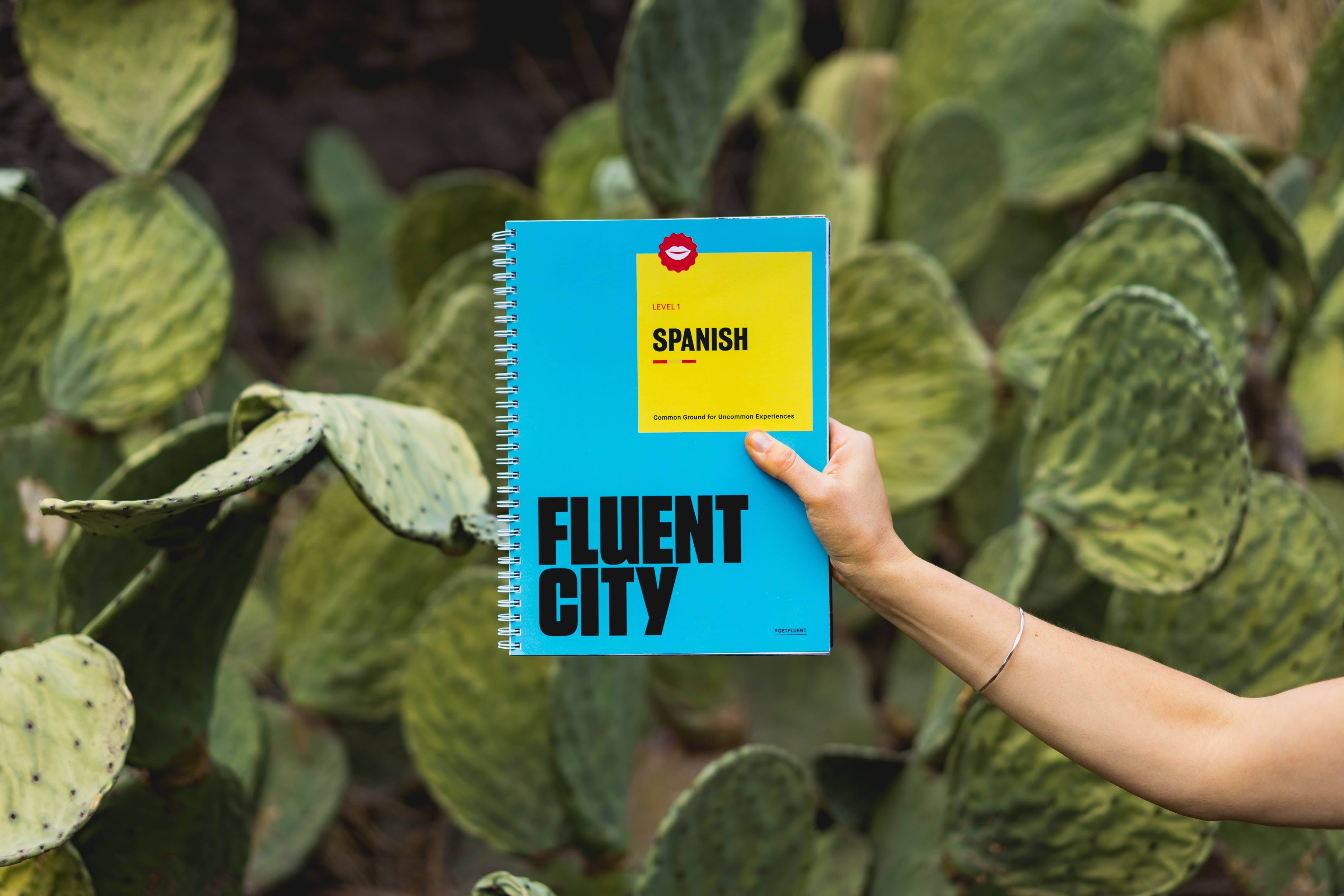 Libro de ELE