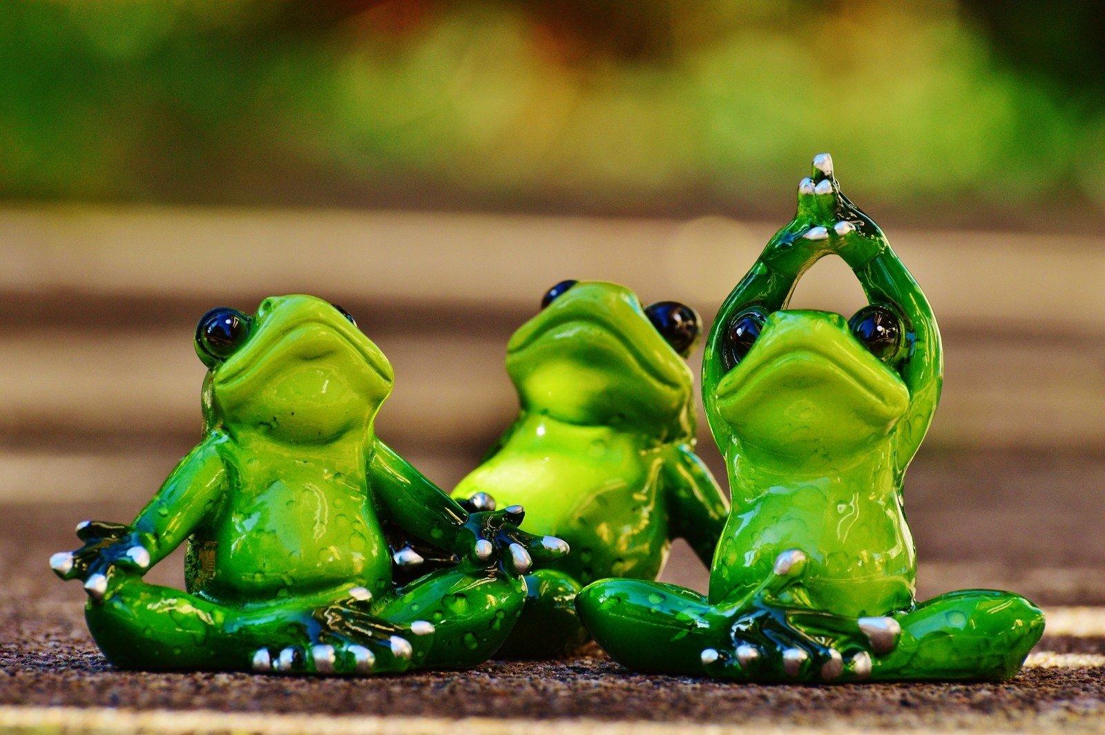 El yoga a bajo costo suele ser de tipo general y para nivel principiante, pero te ayuda a variar en tu práctica y conocer gente nueva