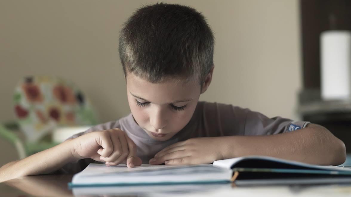 Si un niño puede leer comprensivamente, tiene las herramientas para aprender cualquier cosa.