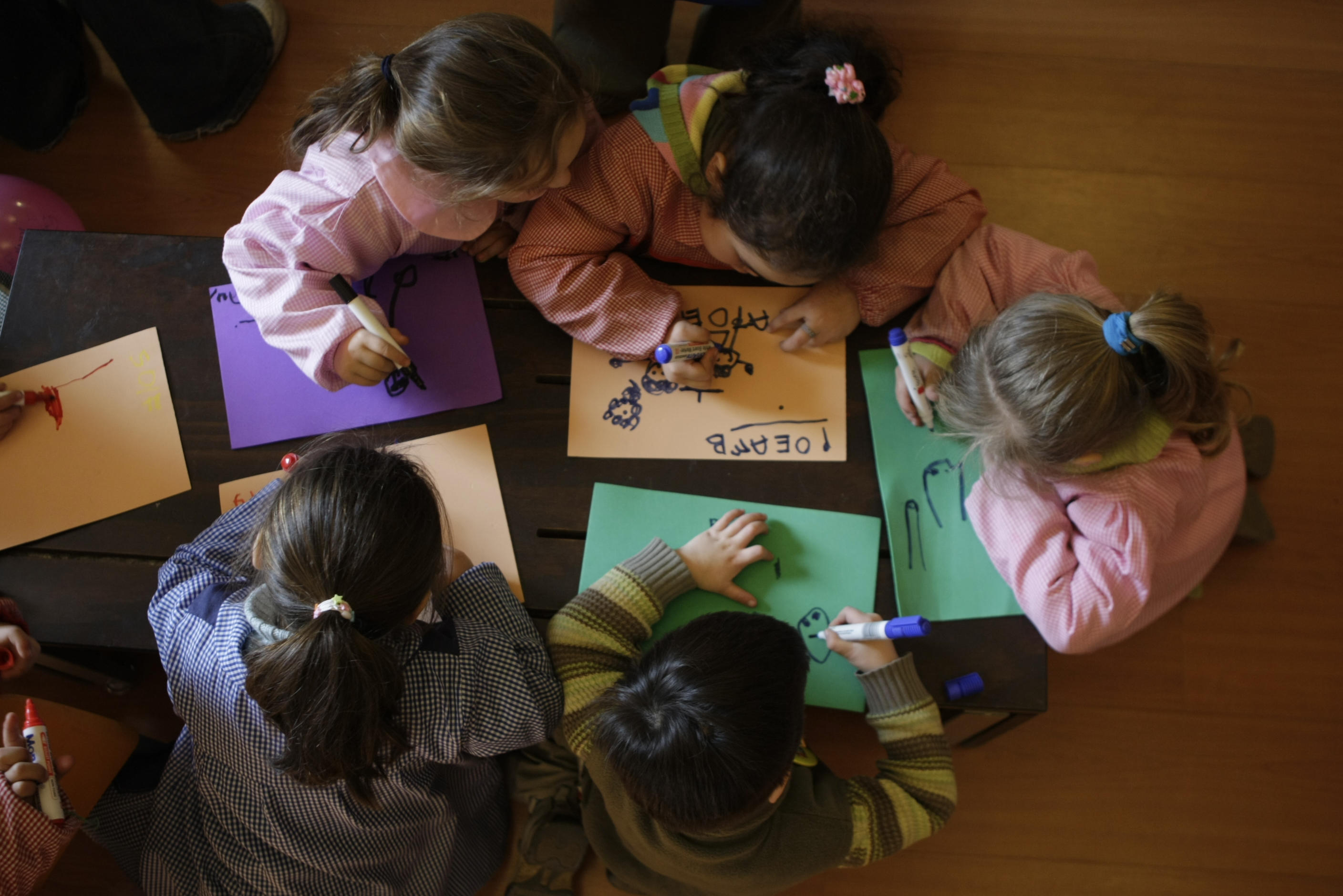 Existen diferentes carreras de pedagogía según el nivel en el que desees enseñar.