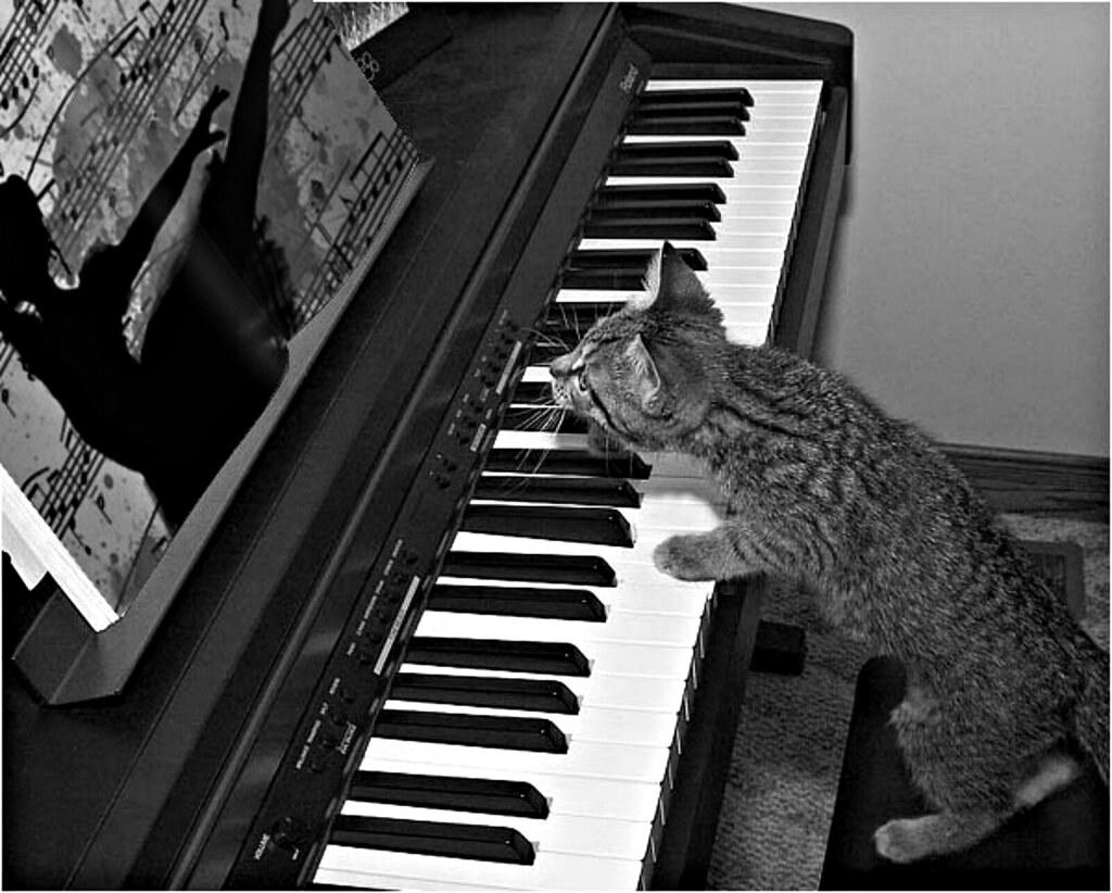 Ten tu música de acompañamiento preparado para las sesiones