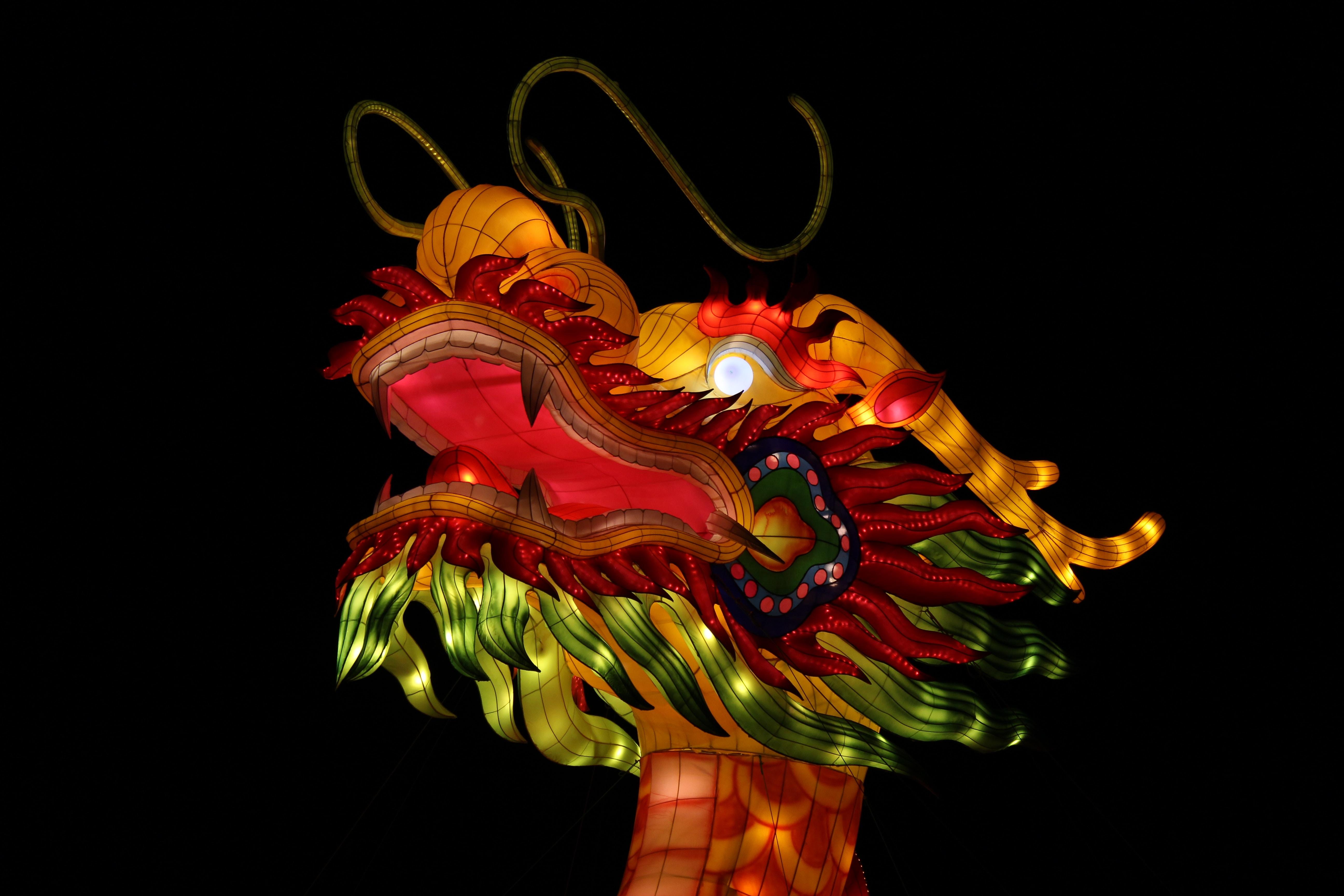 dragon de festividades de la China