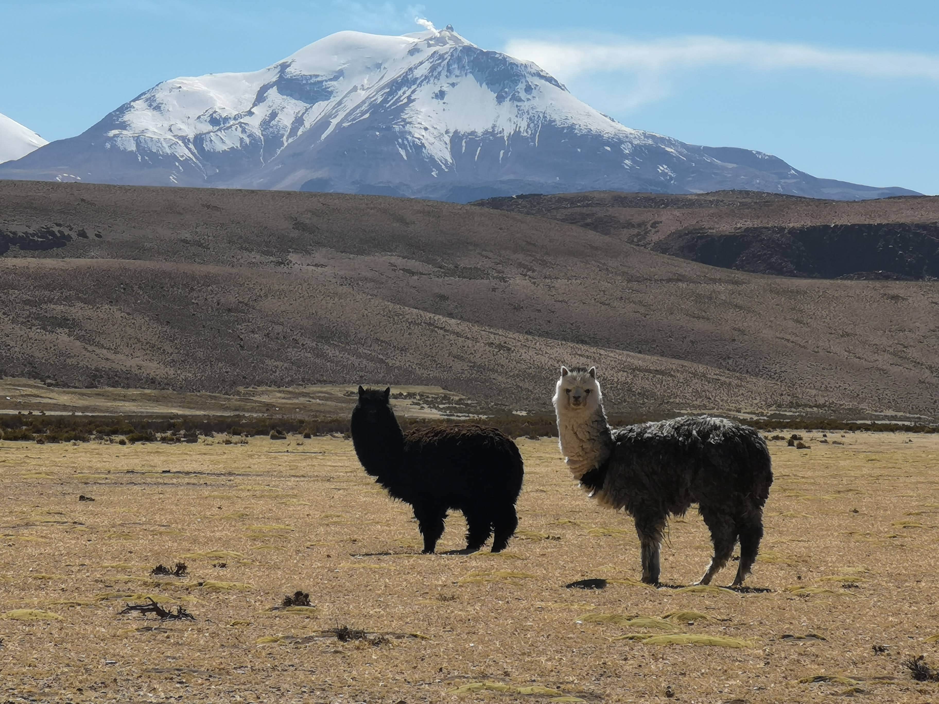 Cordillera de los Andes