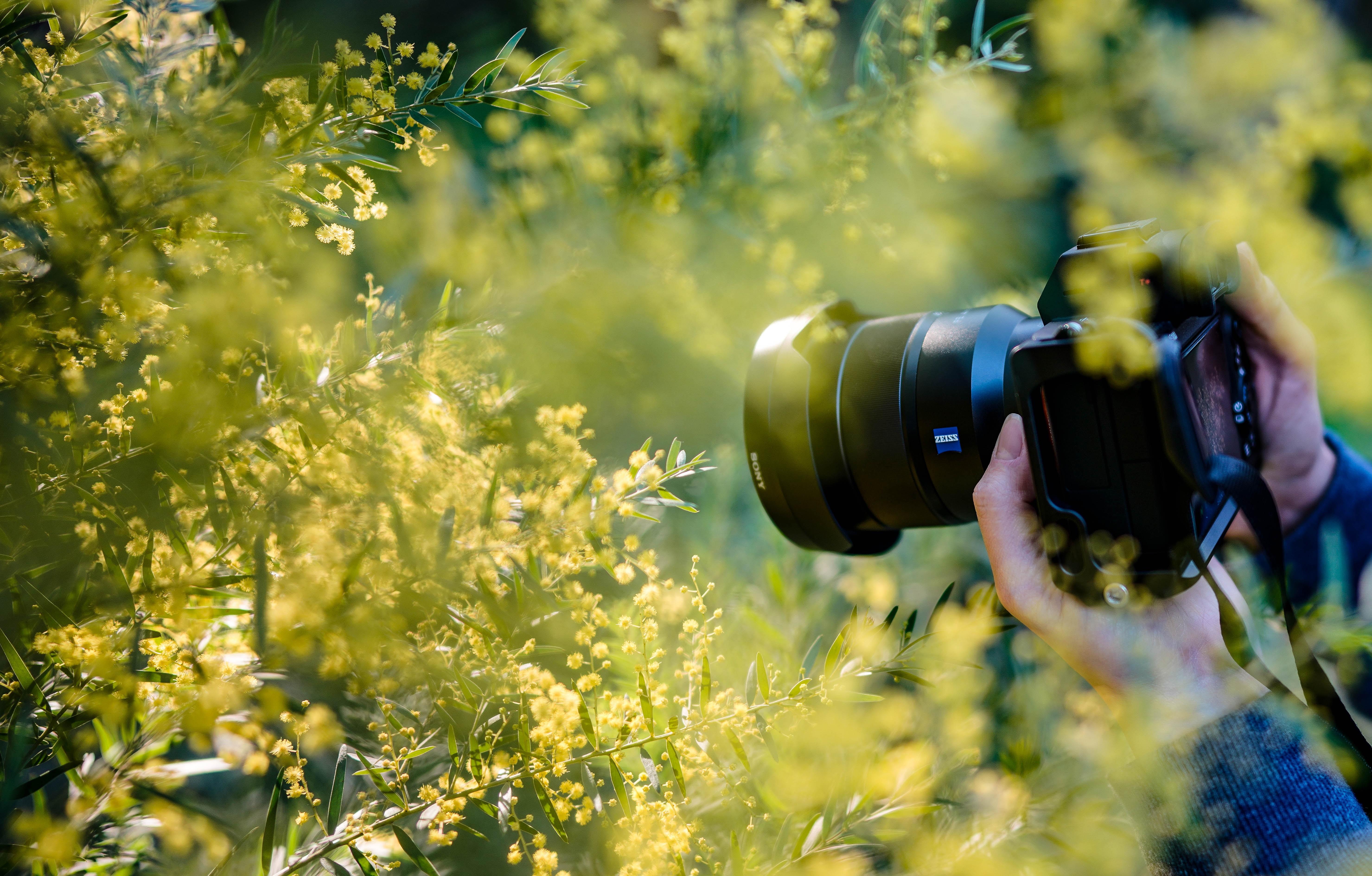 Fotografiando al exterior