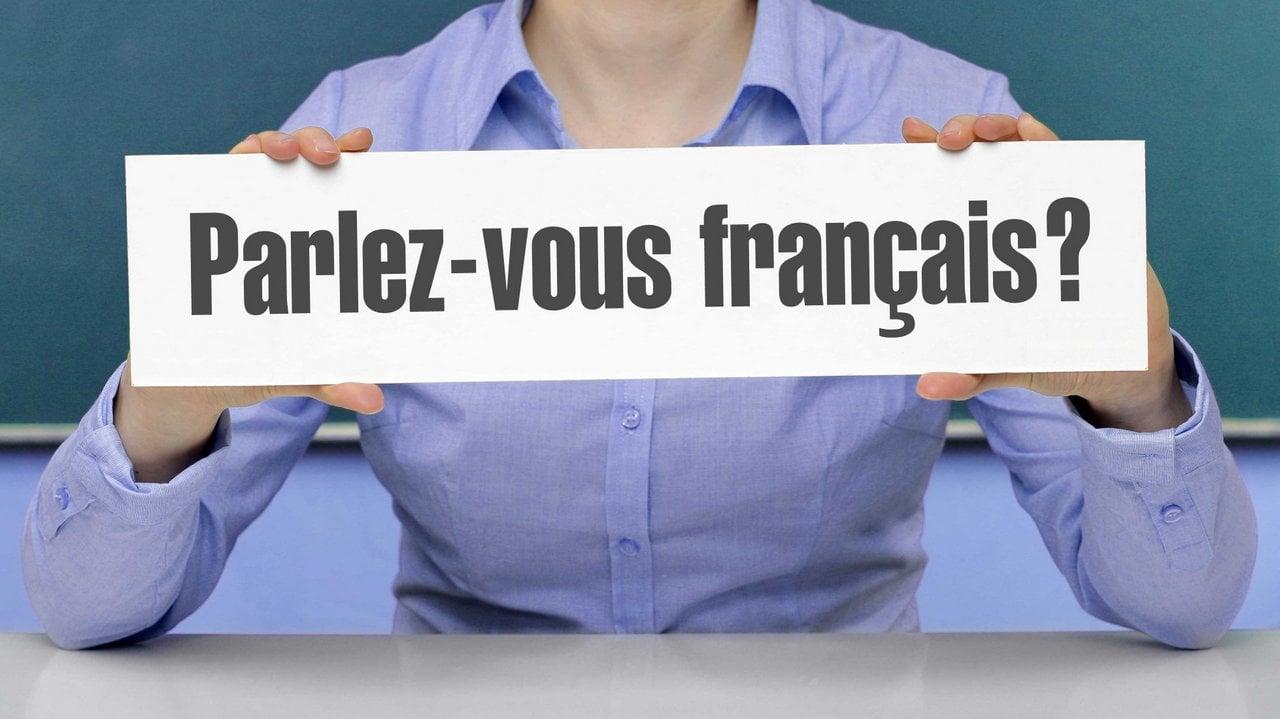 Existen varios cursos de francés elemental para universitarios.