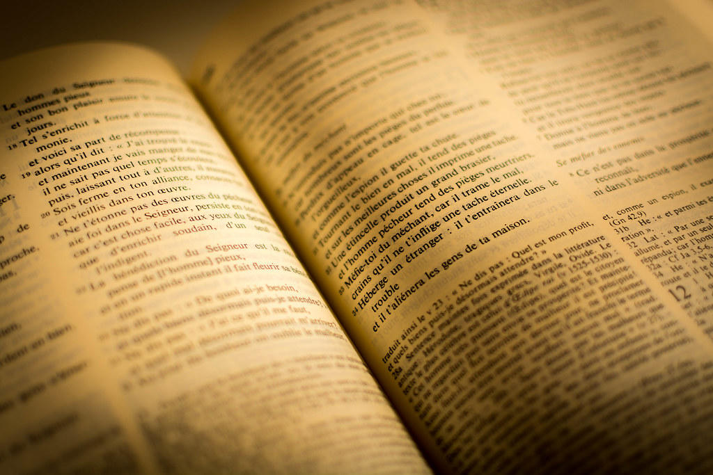 Páginas de libro en francés