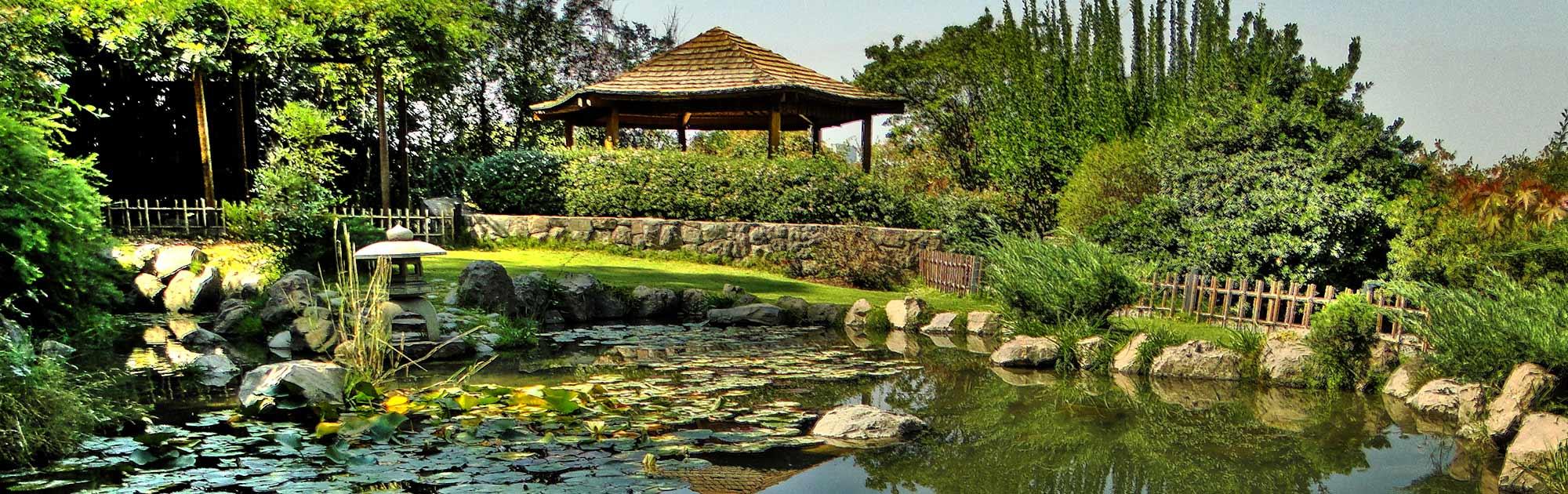 Jardín verde con casa y arboles