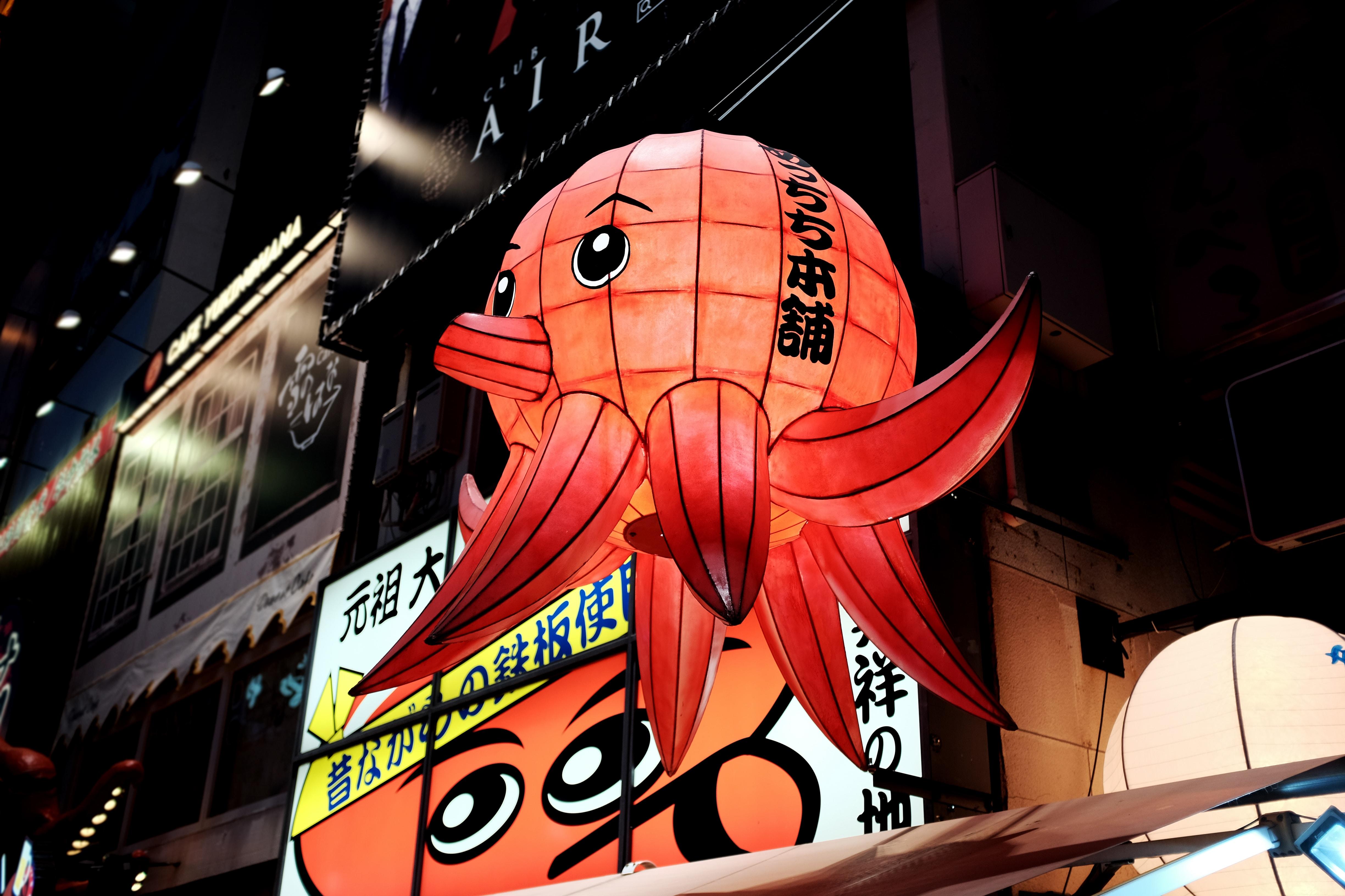Octopus japonés de noche