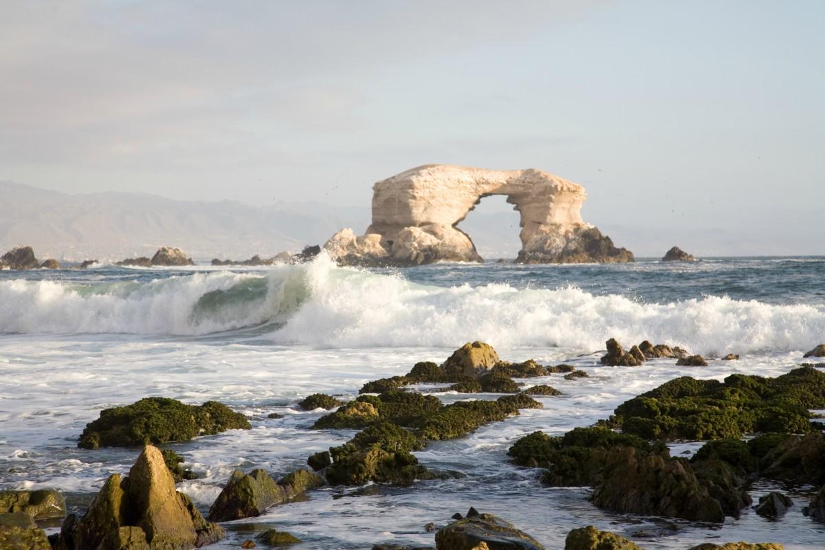 Portada de Antofagasta