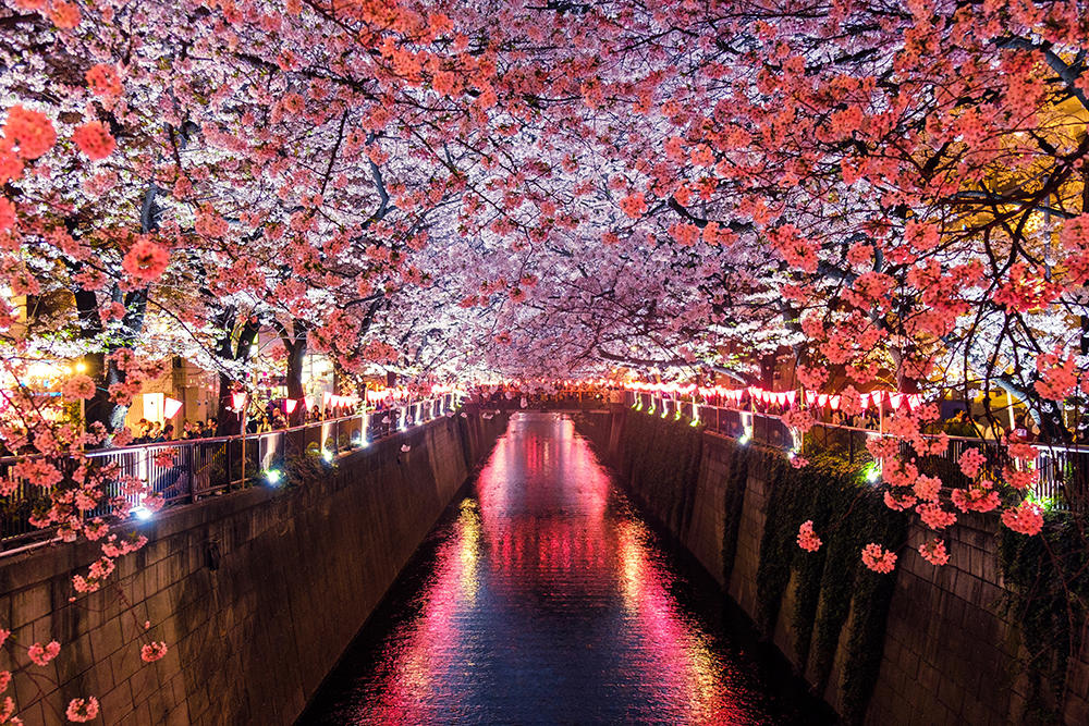 Río japonés