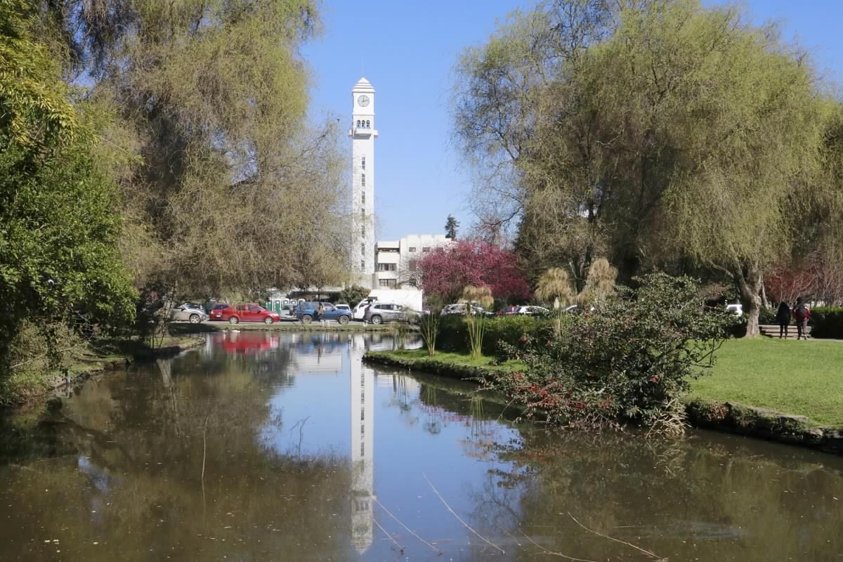 Paisaje parte de Concepción