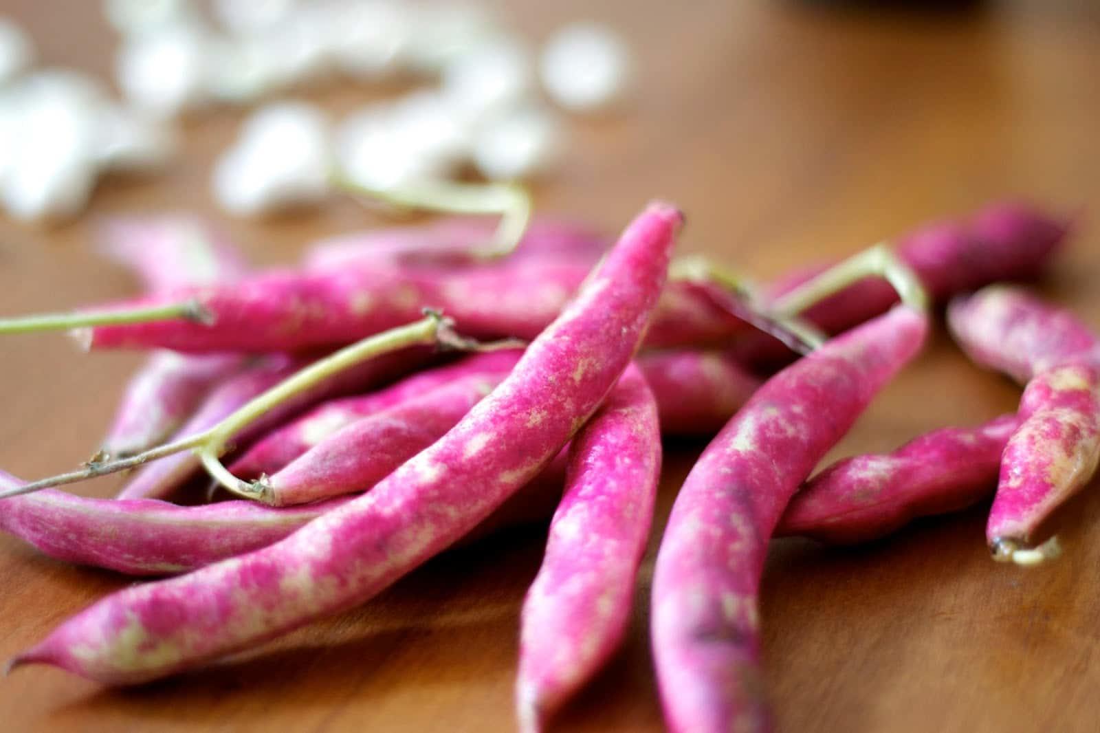 Porotos granados en vainas