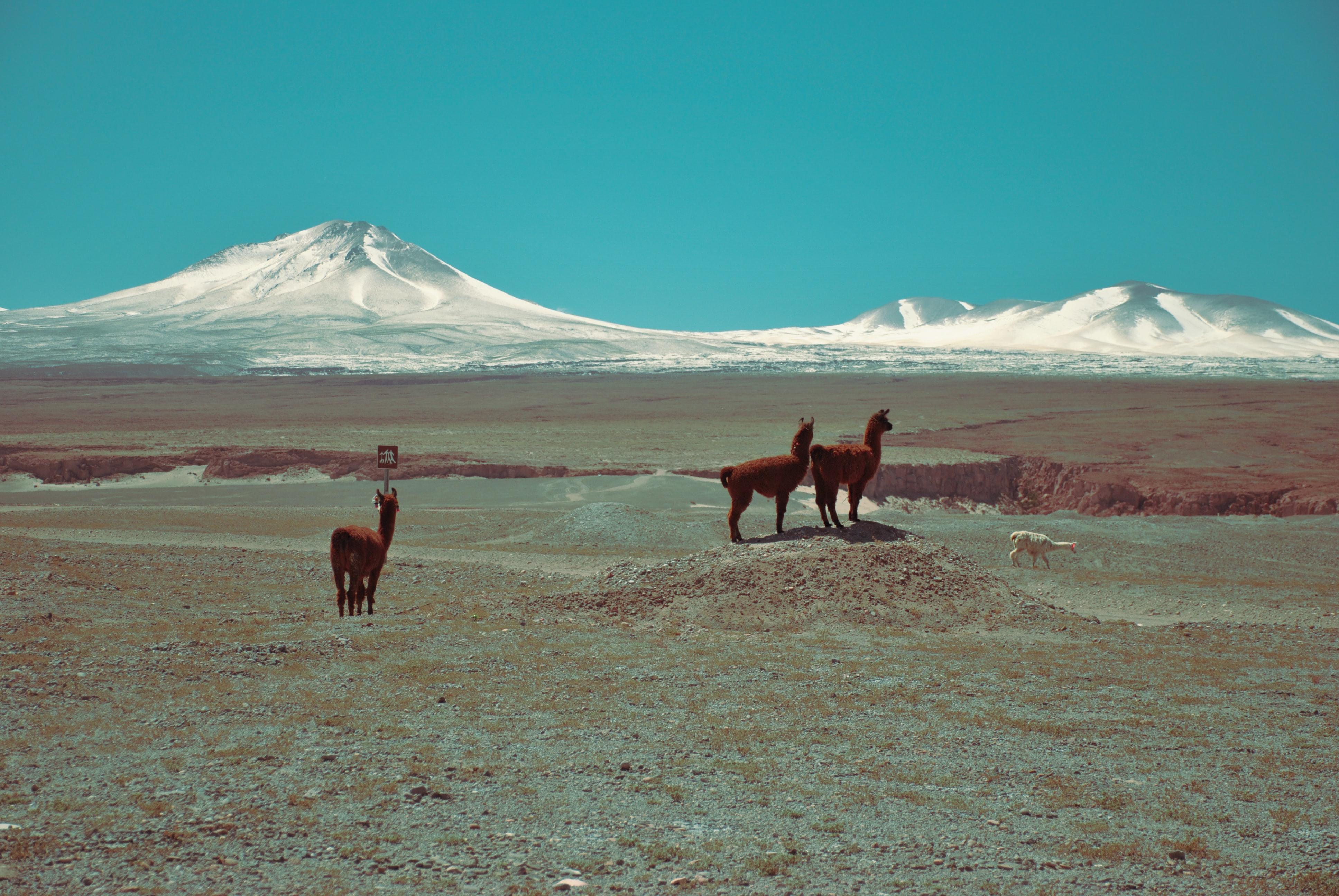 San Pedro de Atacama