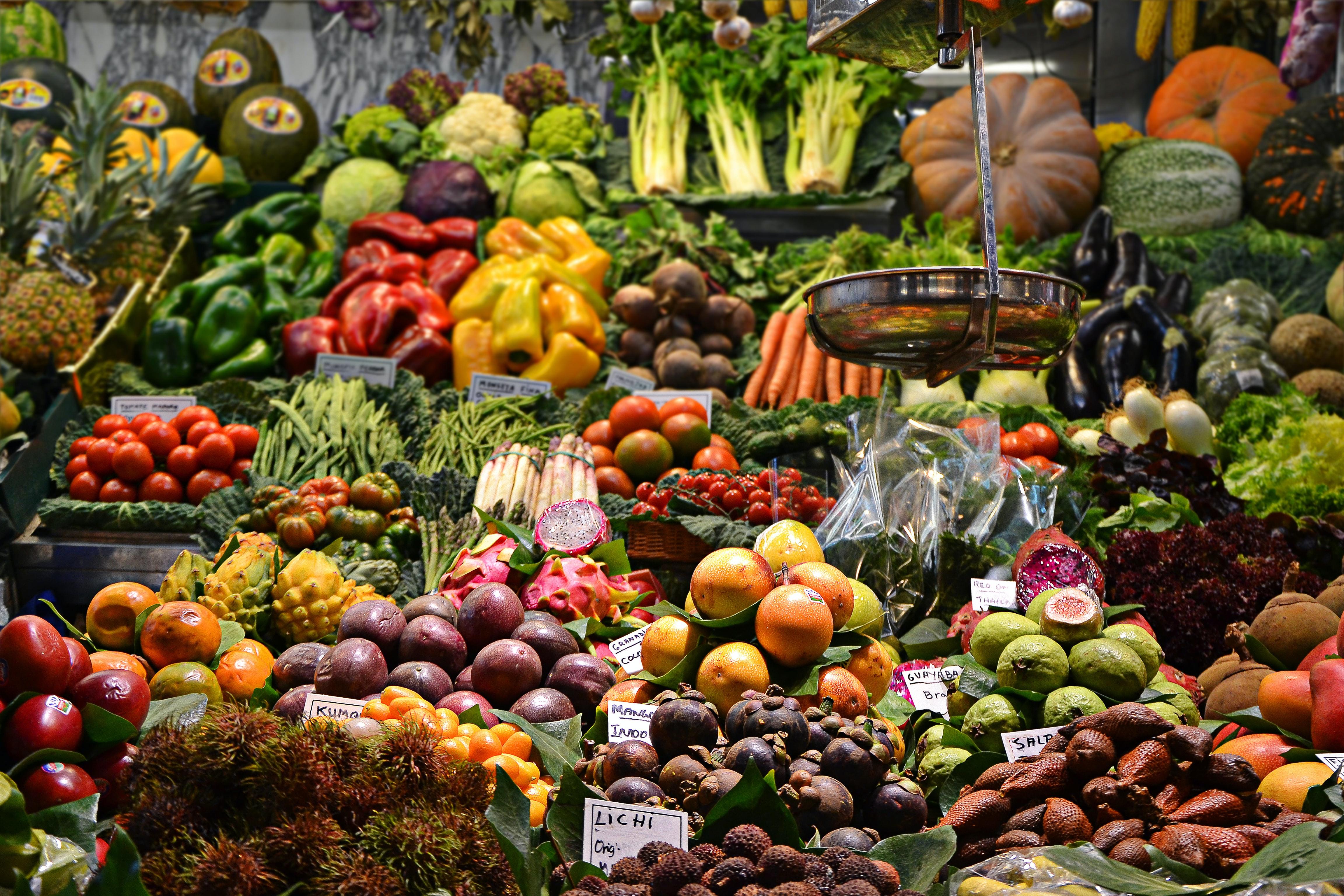 Variedad de verduras