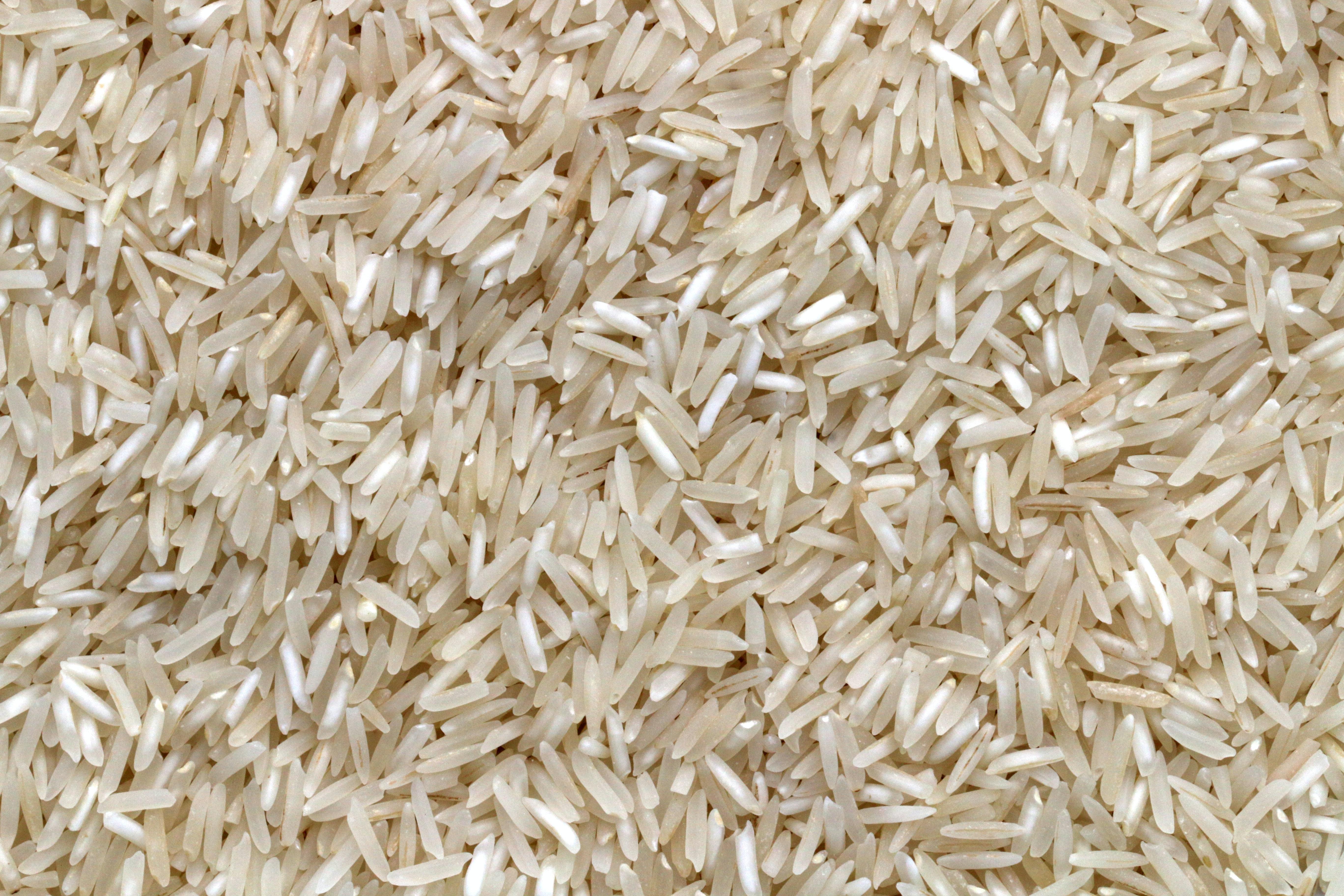 Plano detalle al arroz