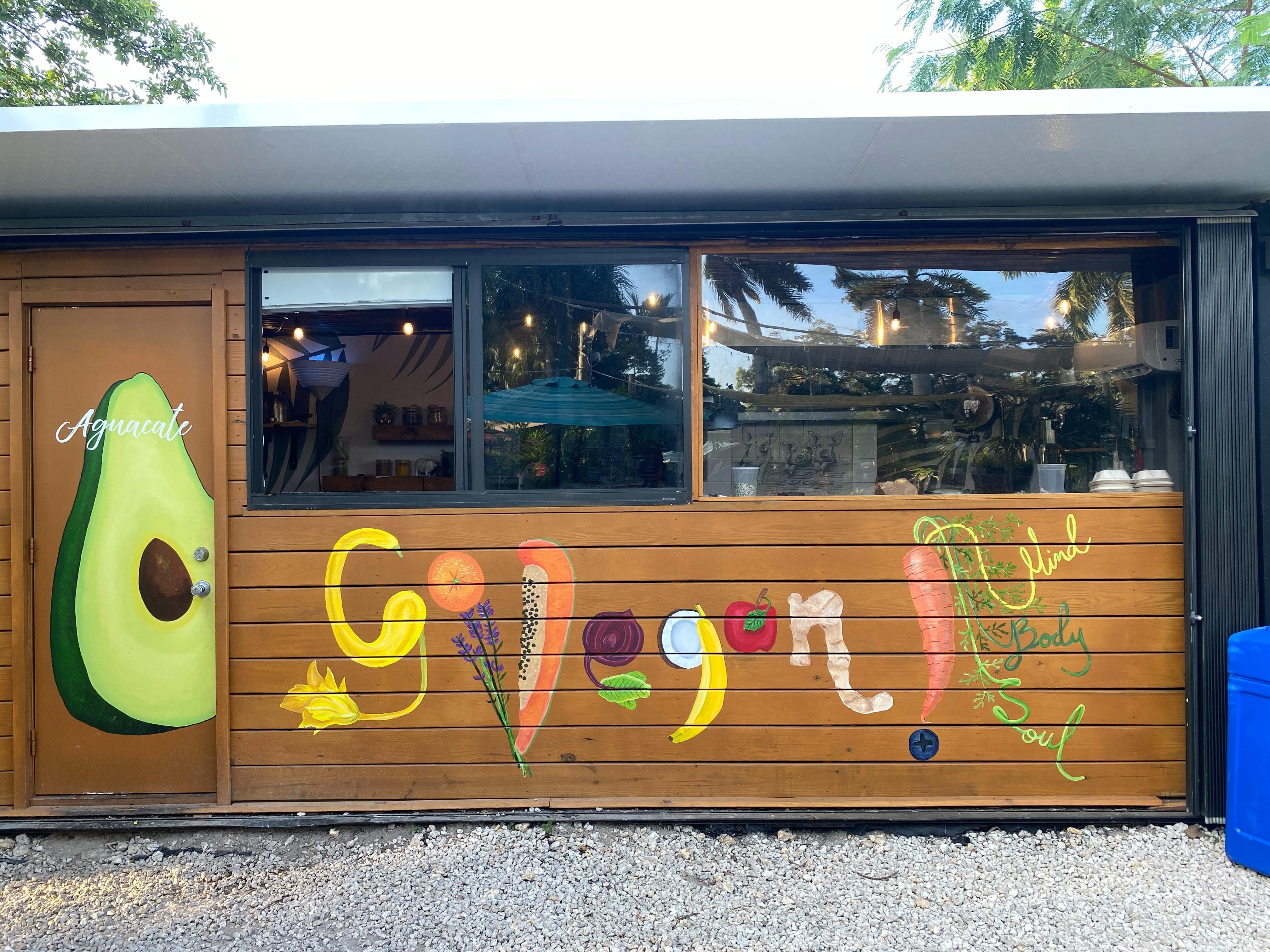 Go Vegan en muro