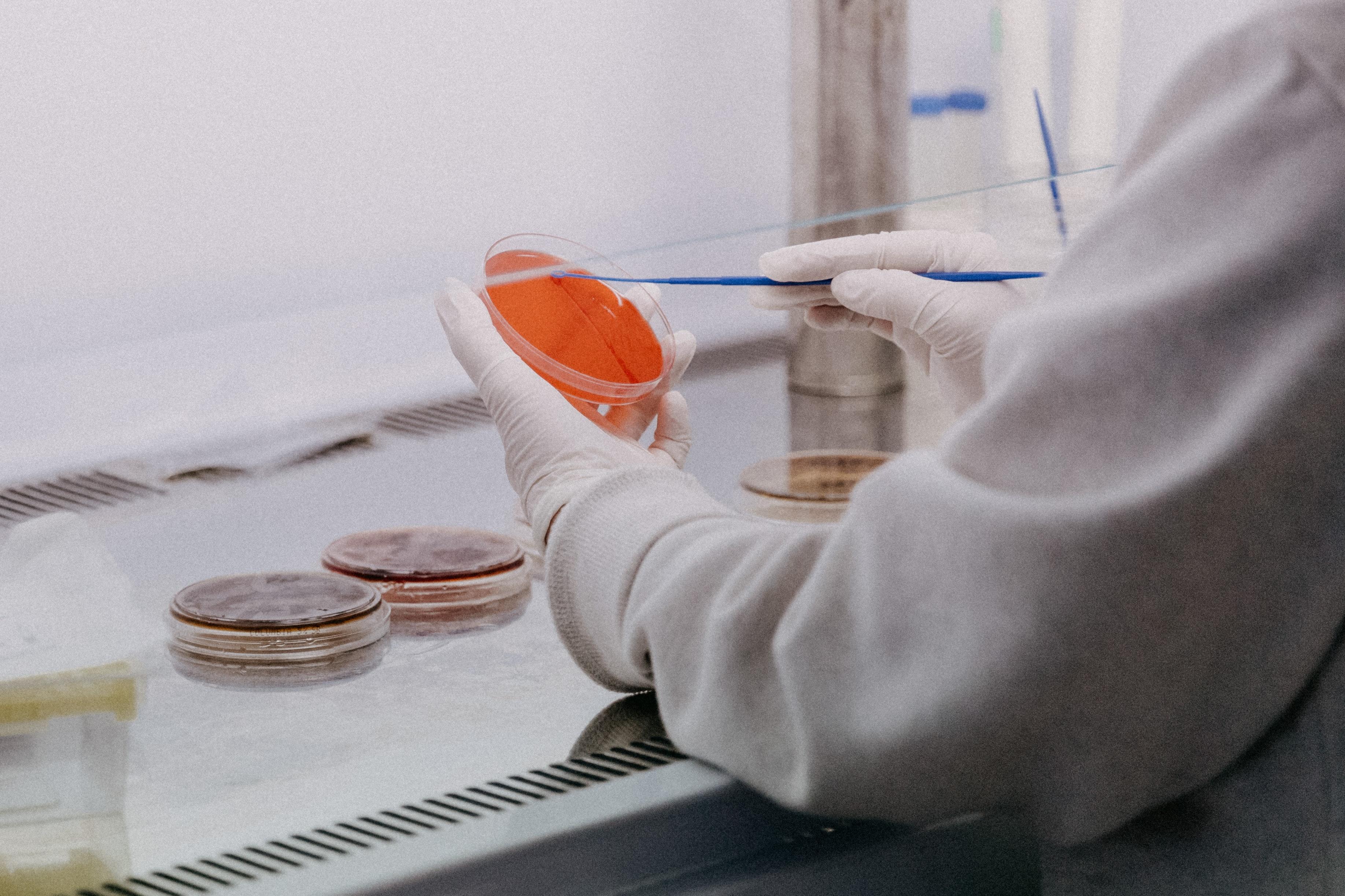 Personas trabajando en experimento