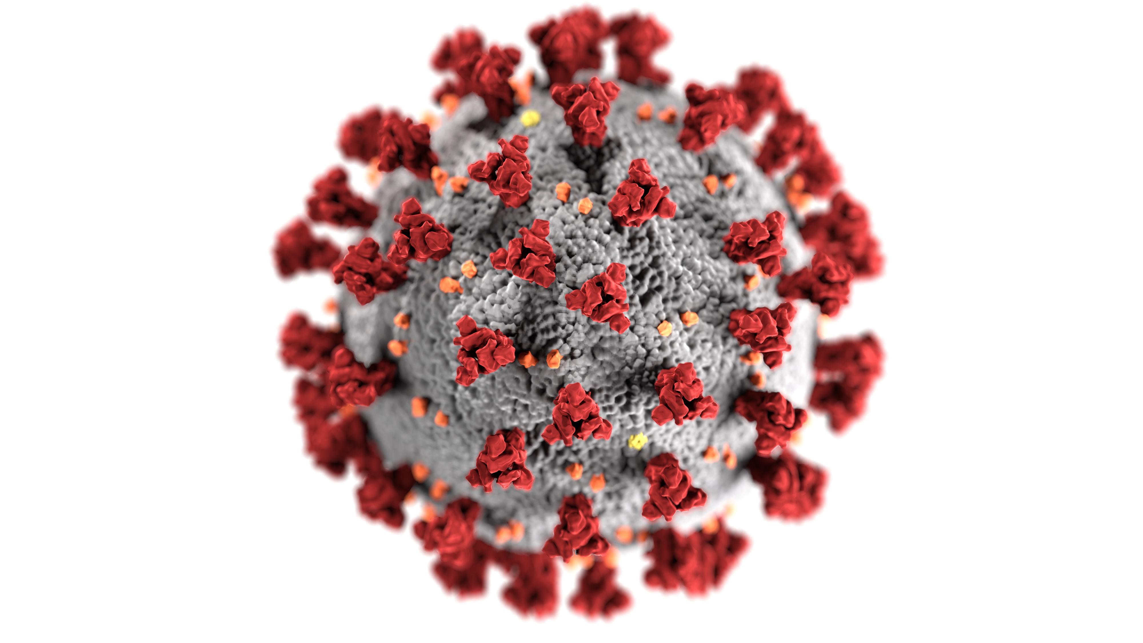 Coronavirus en 3D