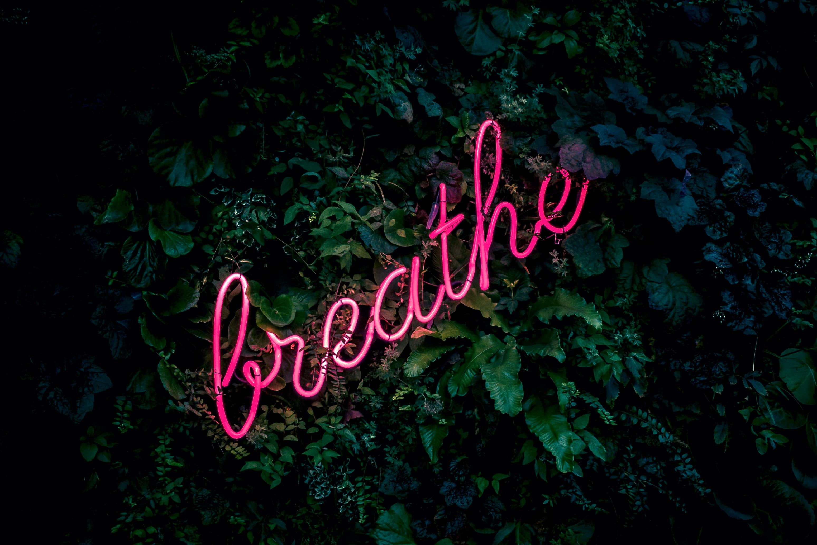 Respira en inglés