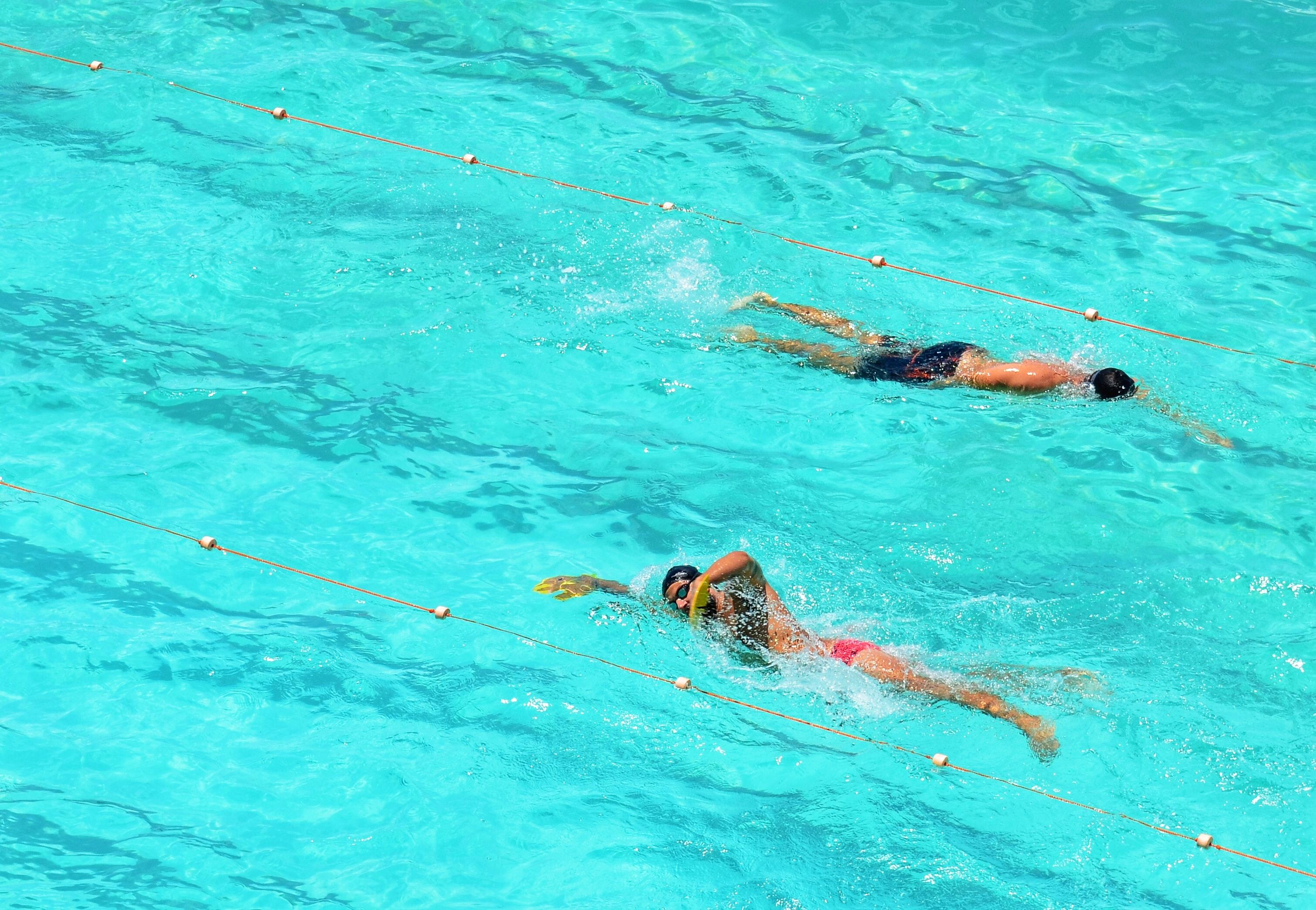 Competición de natación