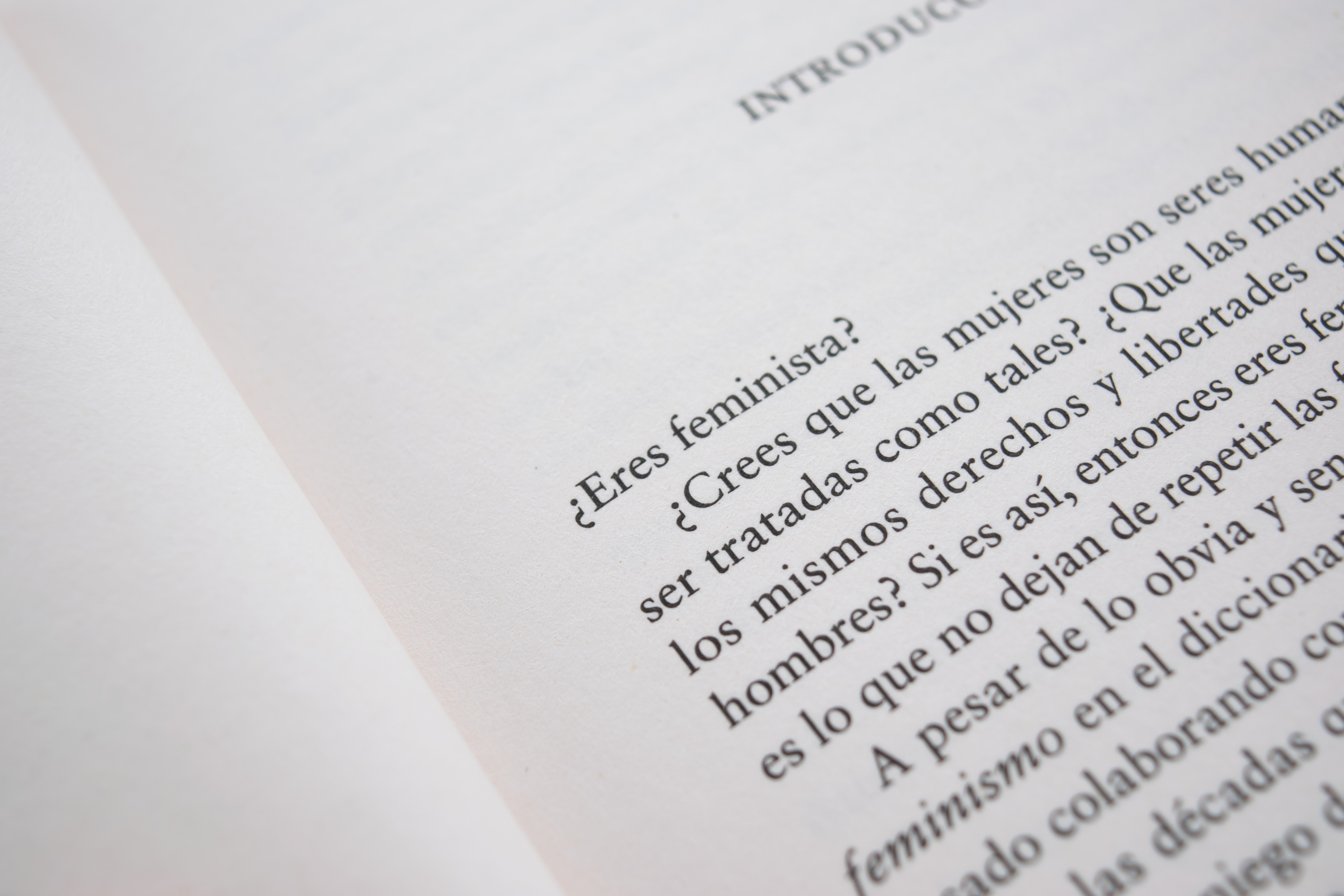 Libro sobre feminismo