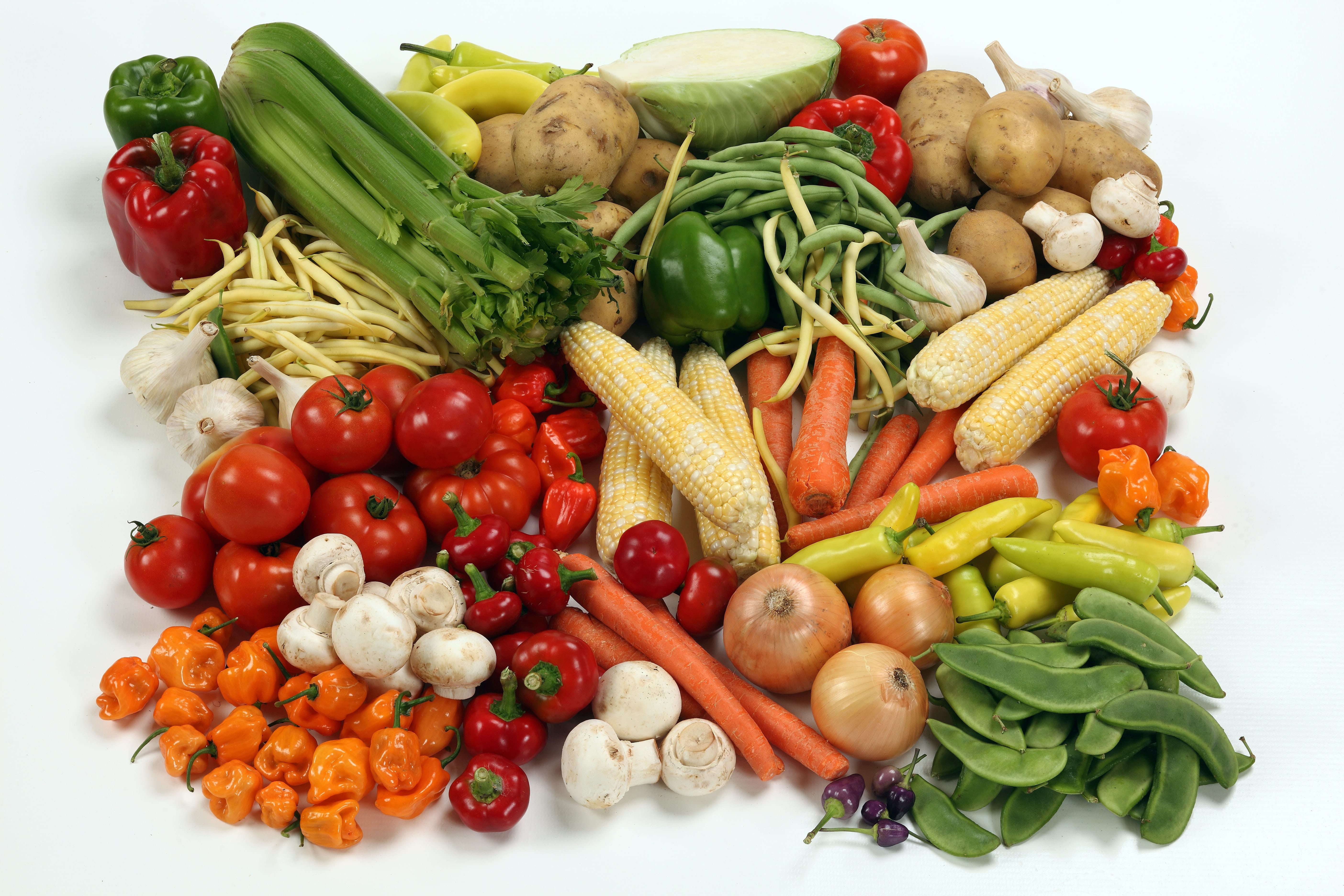 Diferentes tipos de vegetales