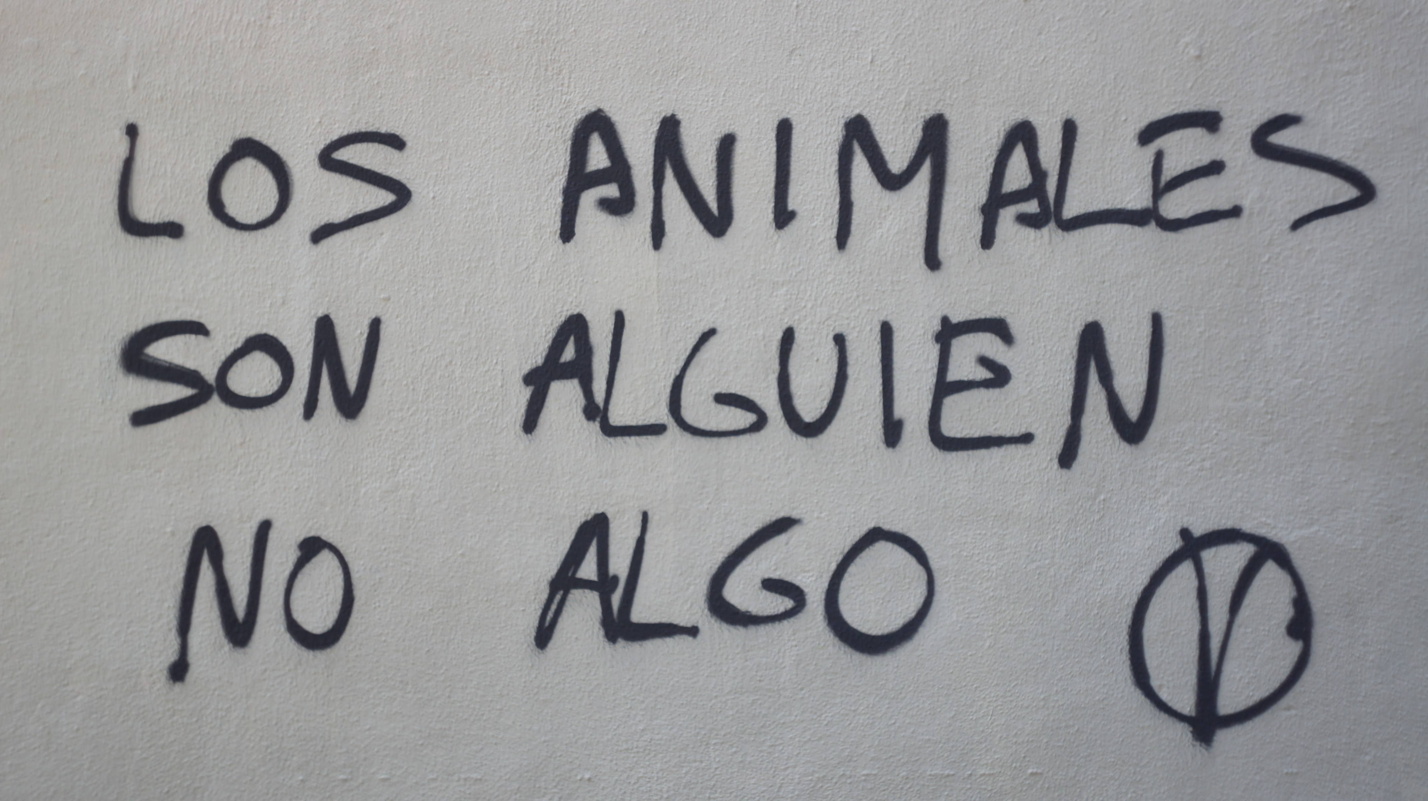 Frase vegana en muro