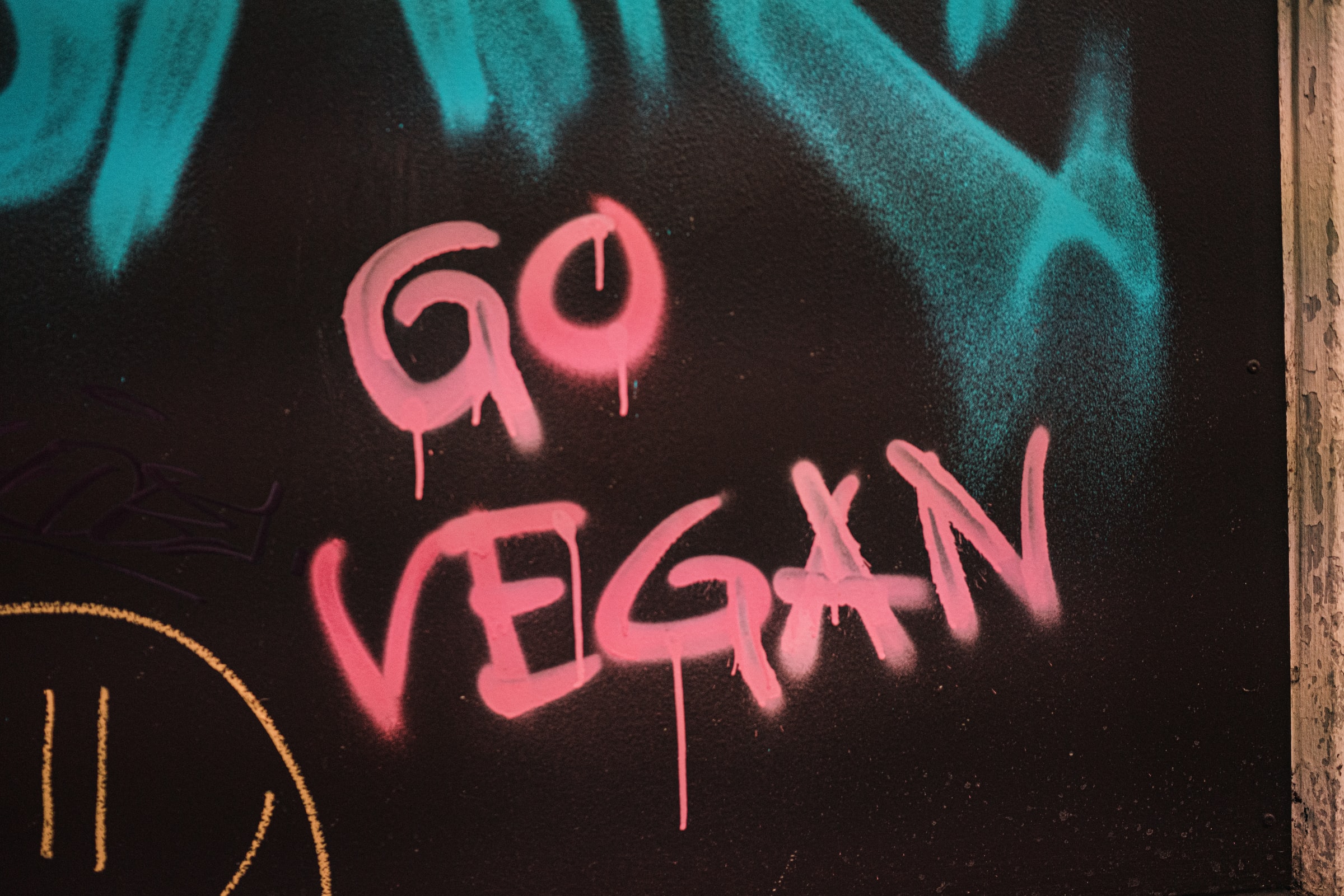 Lema vegano en un muro