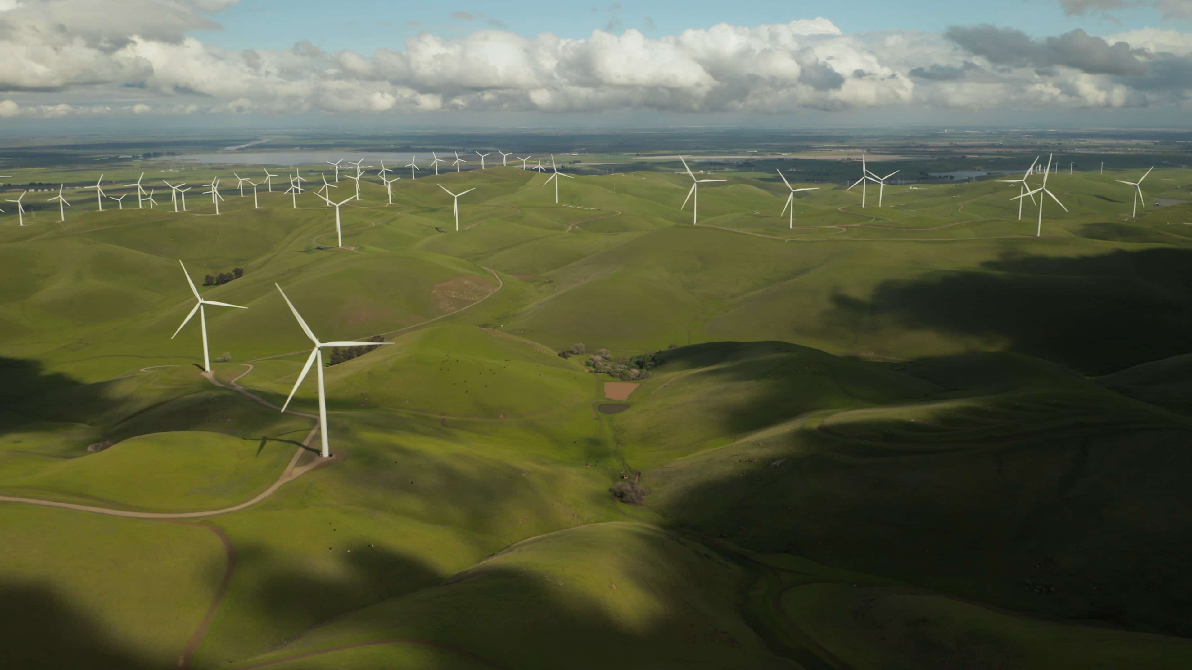Prado verde con molinos de energía eólica