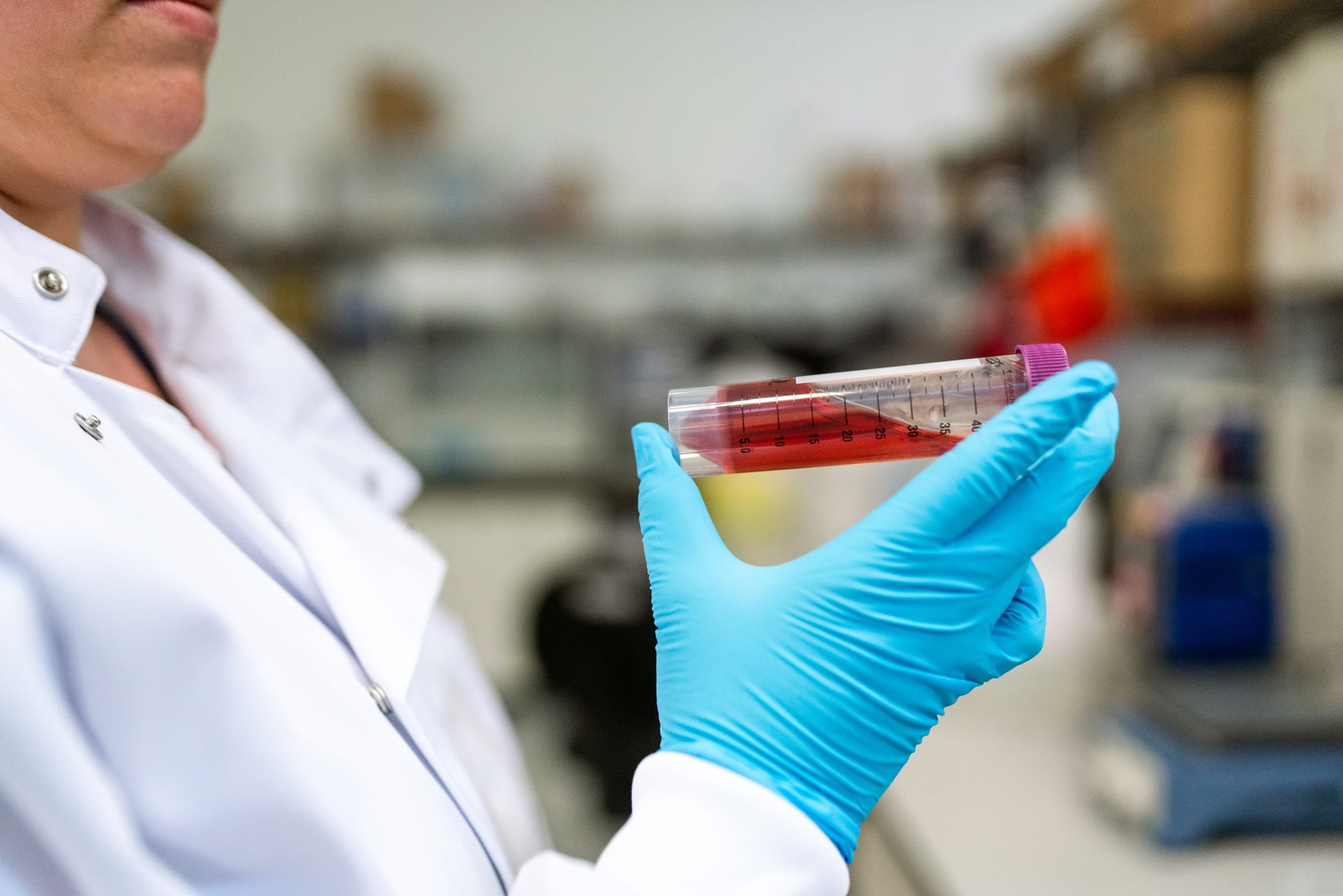 Experimento en el laboratorio