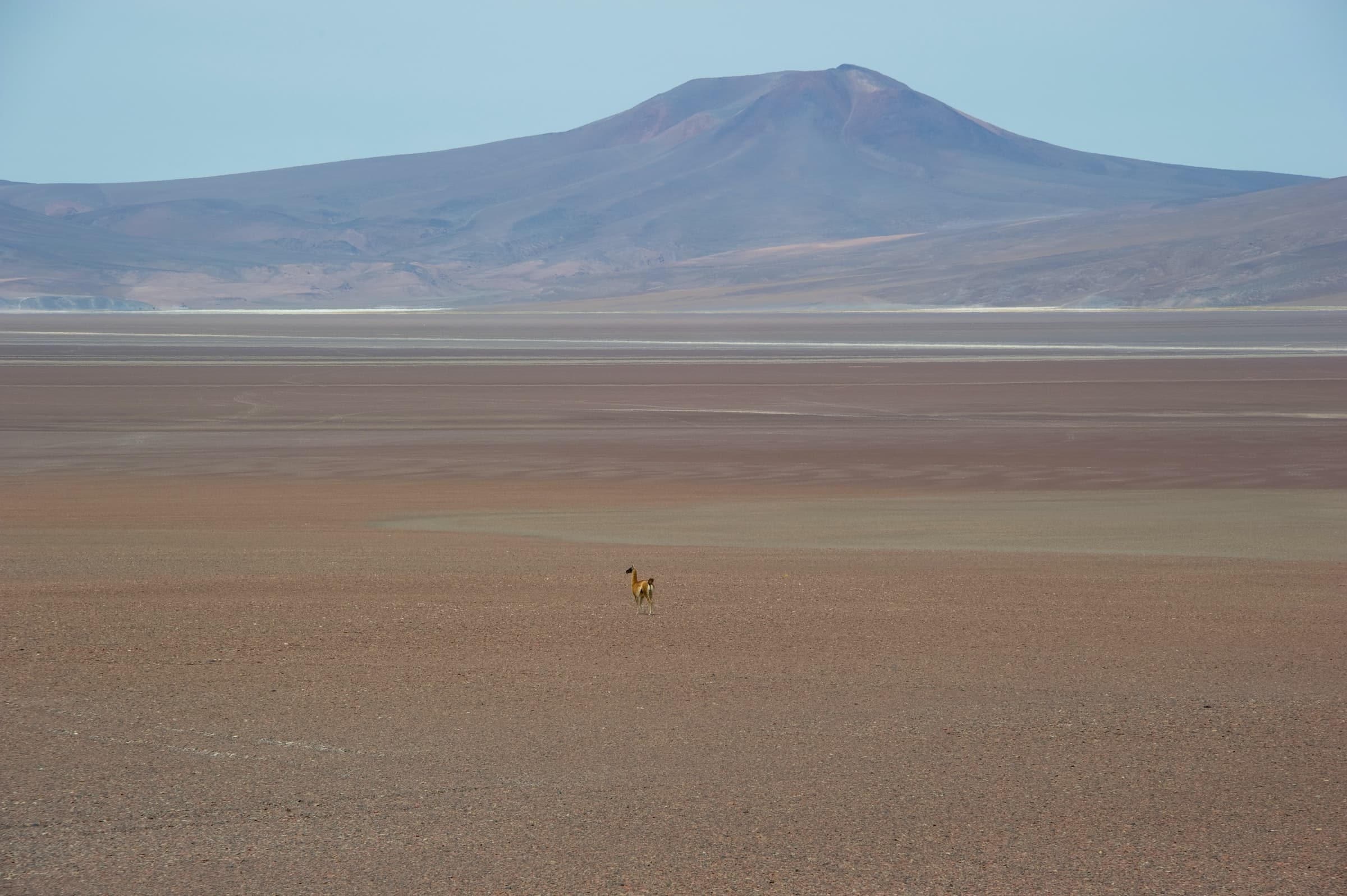 Imagen del desierto de Atacama