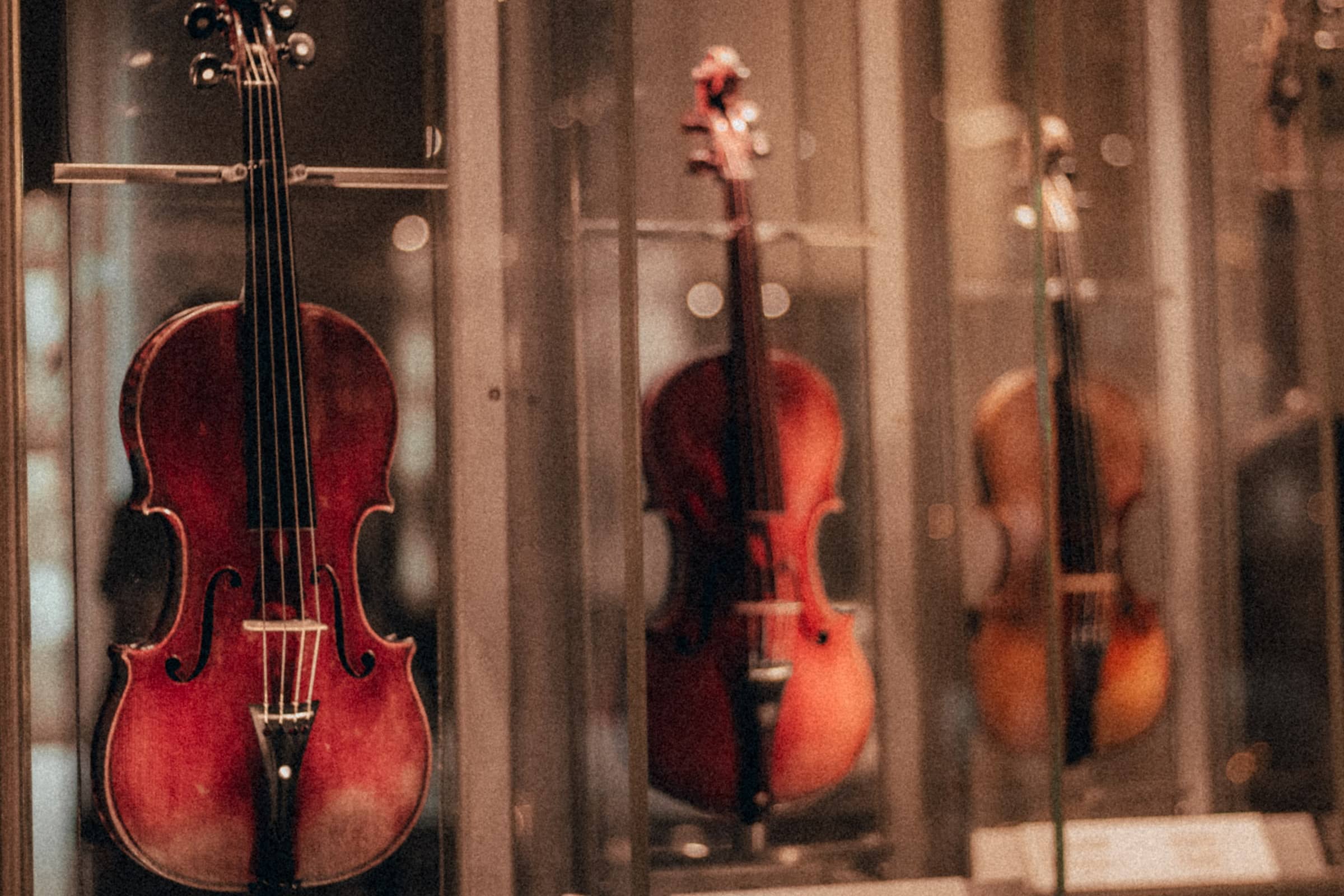 Violines guadados bajo una luz