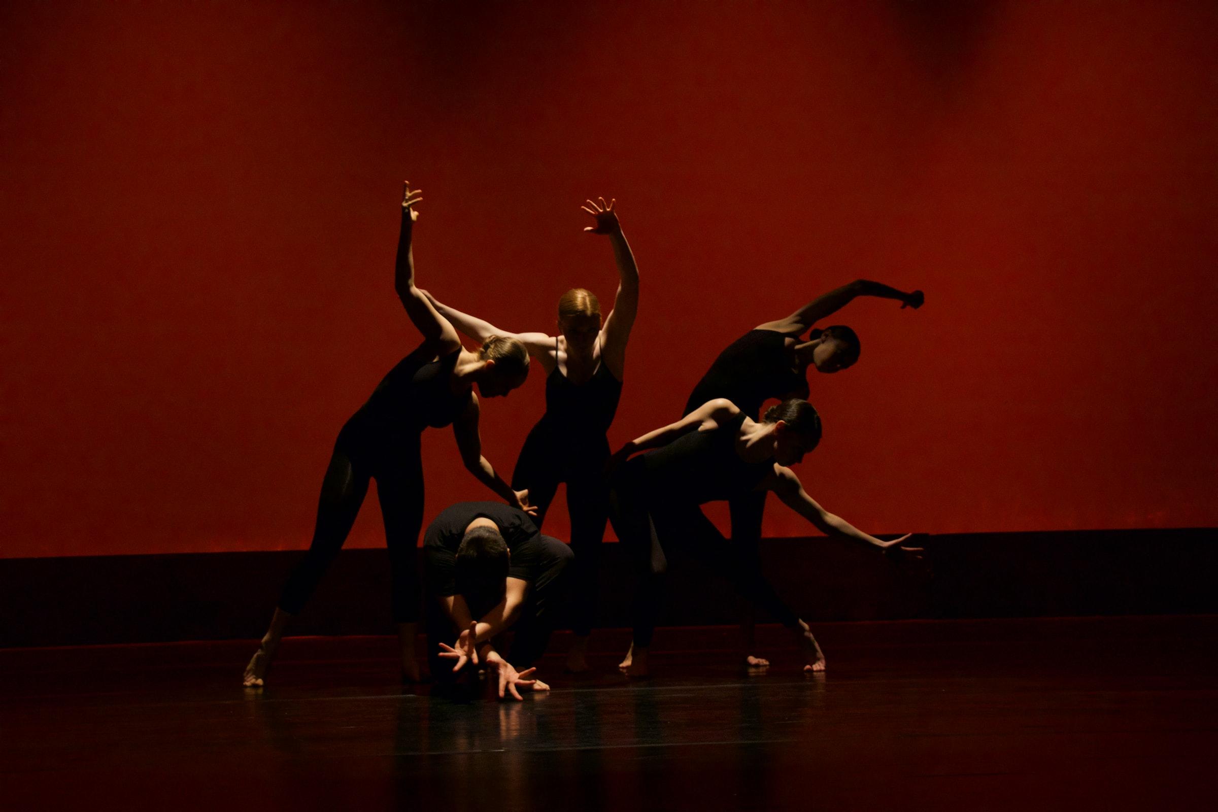 Grupo de bailarines hacen una coreografía