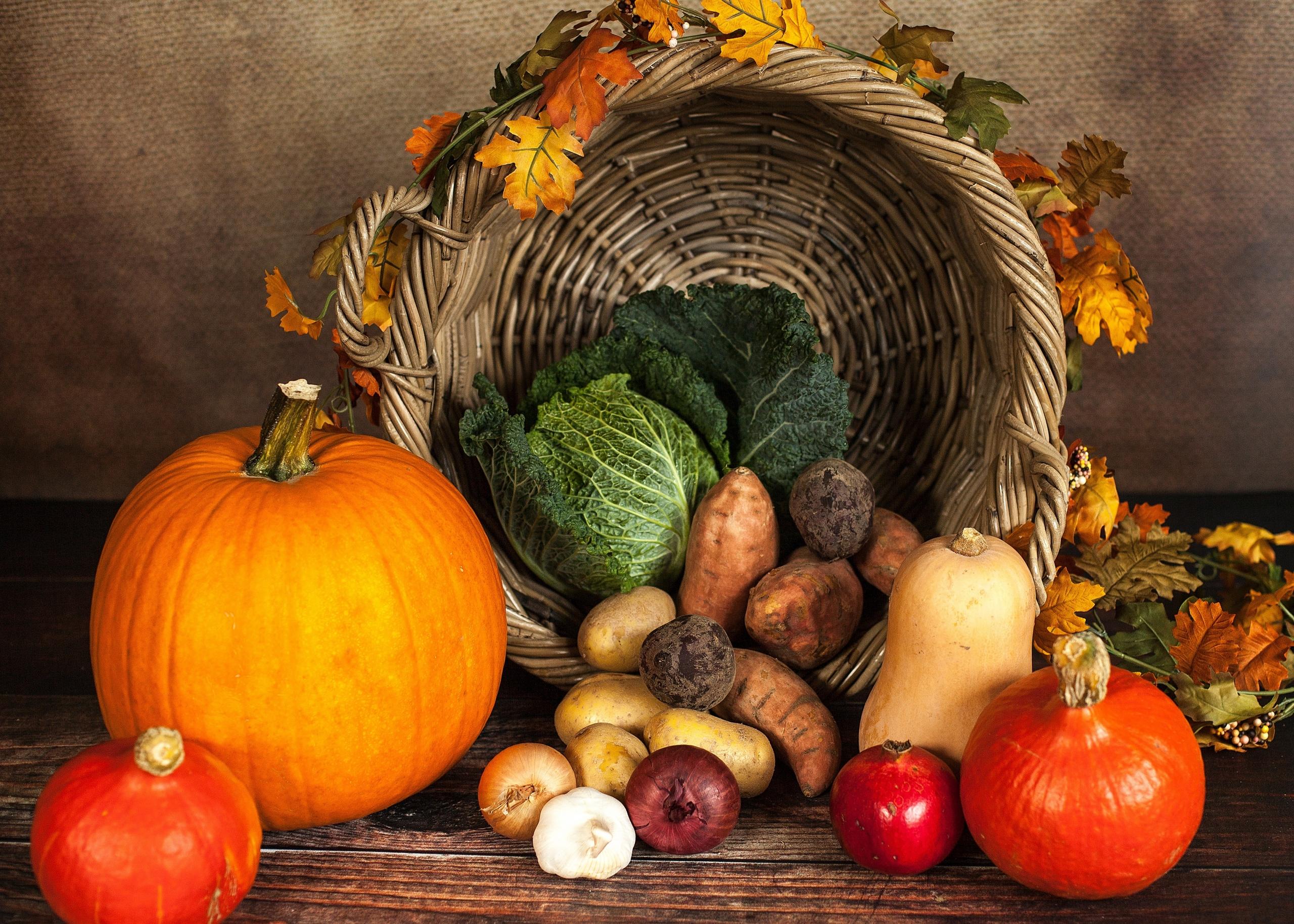 Vocabulario de ingles vegetales