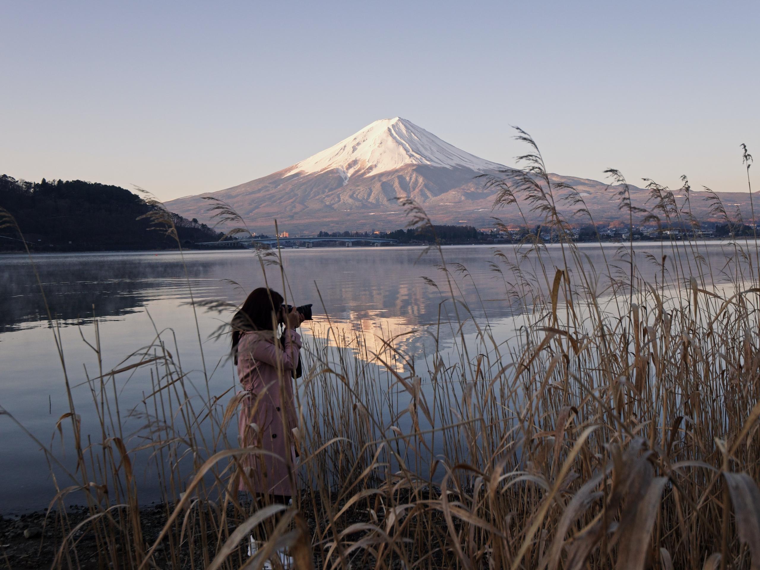 Fotografiar la naturaleza es una actividad reconfortante